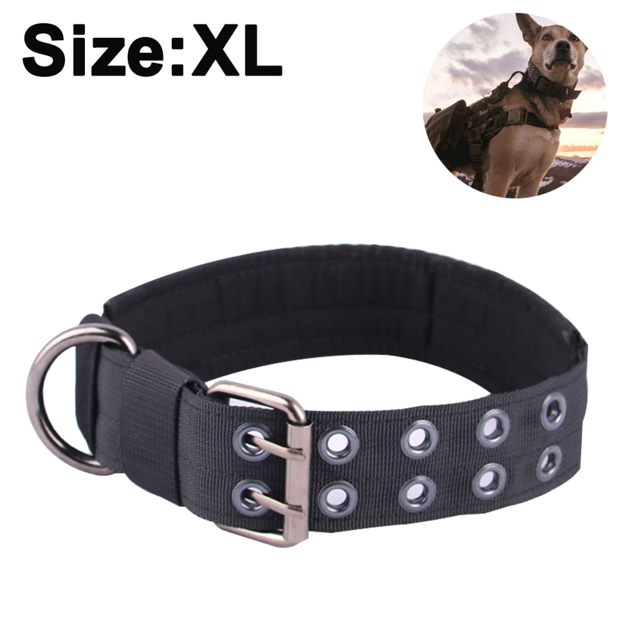 Schwarzes Halsband mit Metallschnalle und D-Ring. Text 'Größe: XL' oben.