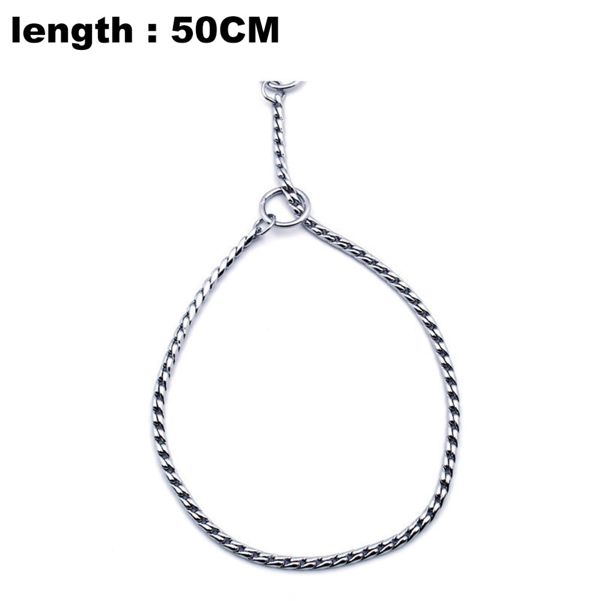 Eine silberne Kette mit einem Ring, auf weißem Hintergrund.