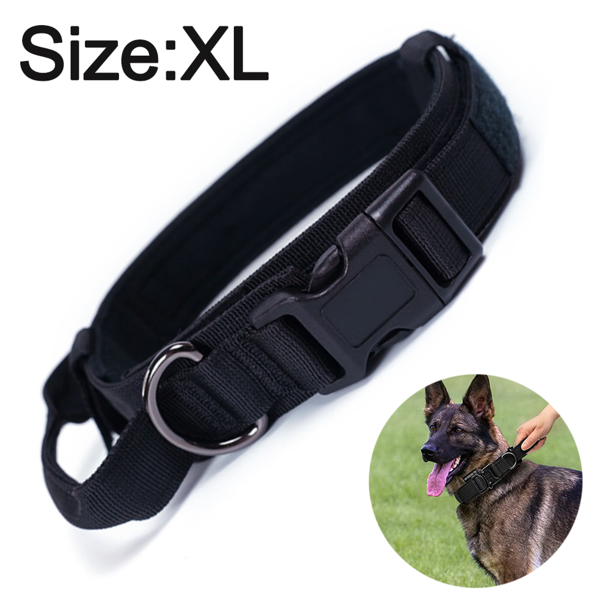 Schwarzer Hundehalsband mit Schnalle und Ring, XL. Deutscher Schäferhund trägt es.