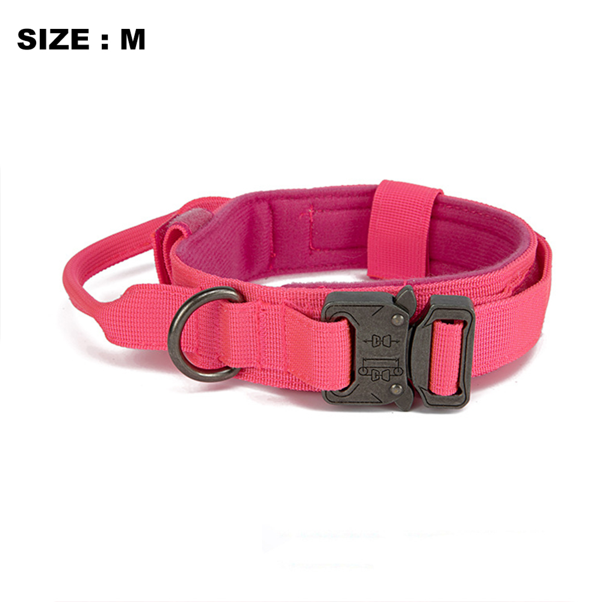 Ein pinkfarbenes Hundehalsband mit silbernem D-Ring und schwarzem Schnellverschluss.