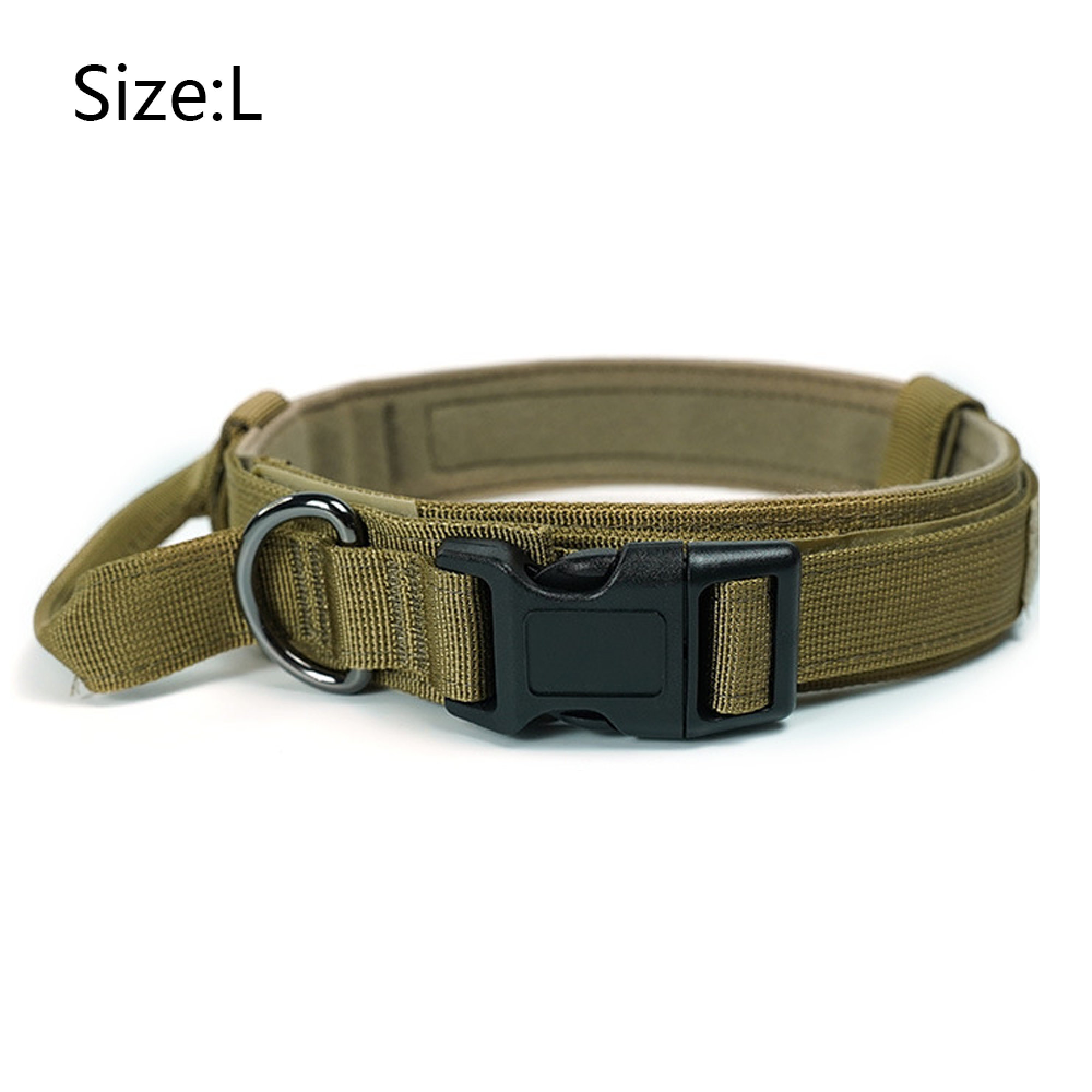 Ein olivgrünes Hundehalsband mit schwarzer Schnalle und Metallring.