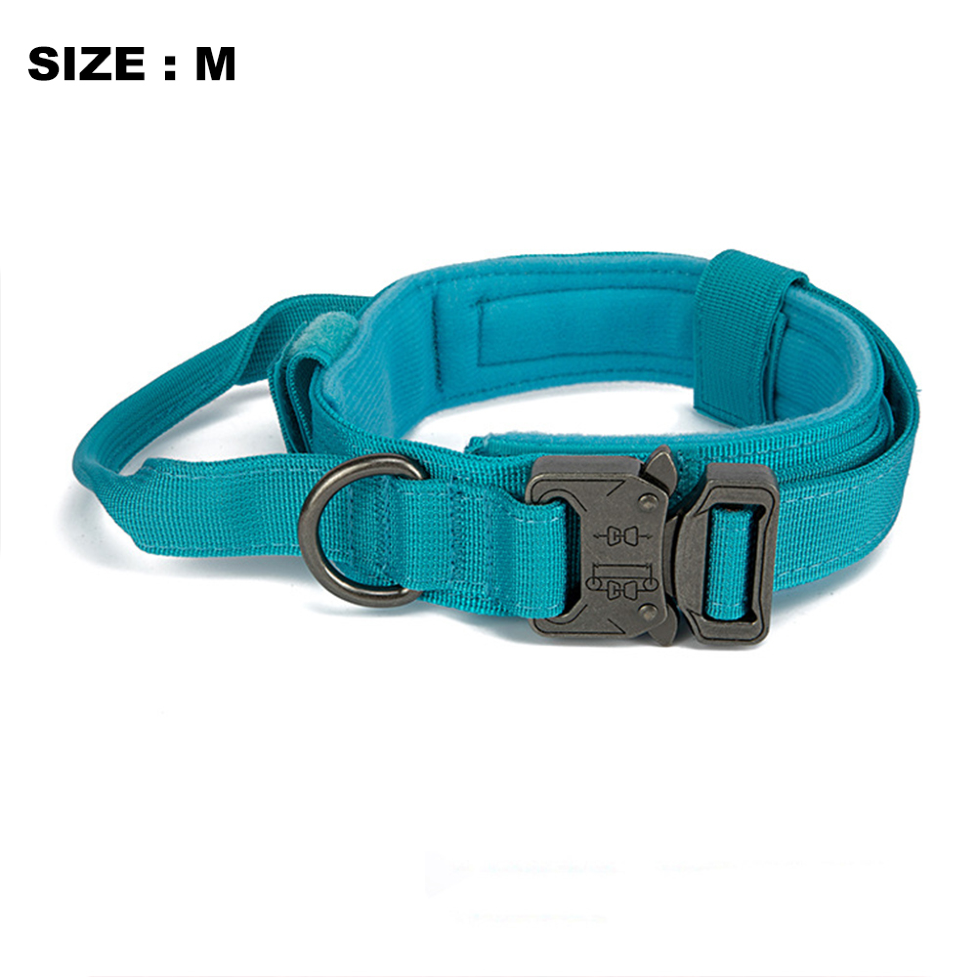 Ein blaugrüner Hundehalsband mit schwarzem Metallverschluss und D-Ring.