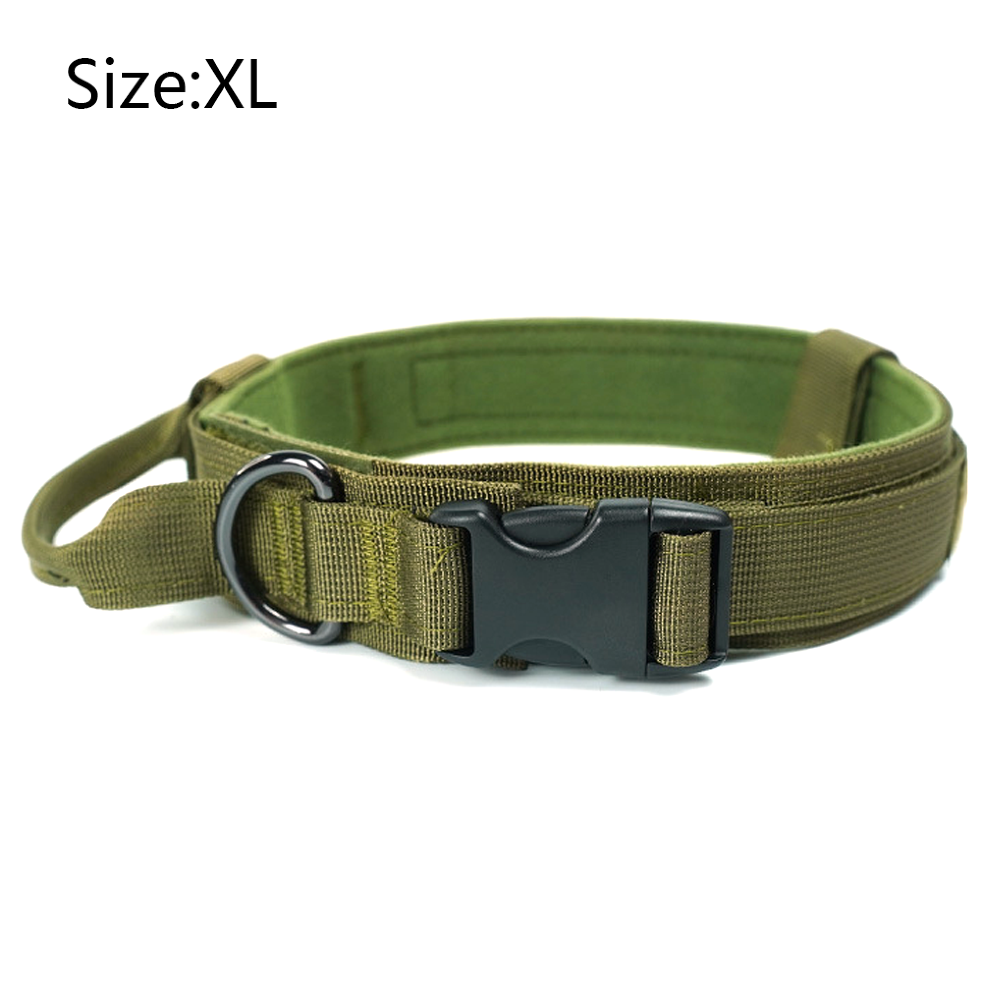 Grüner Hundehalsband mit schwarzer Schnalle und Metallring.