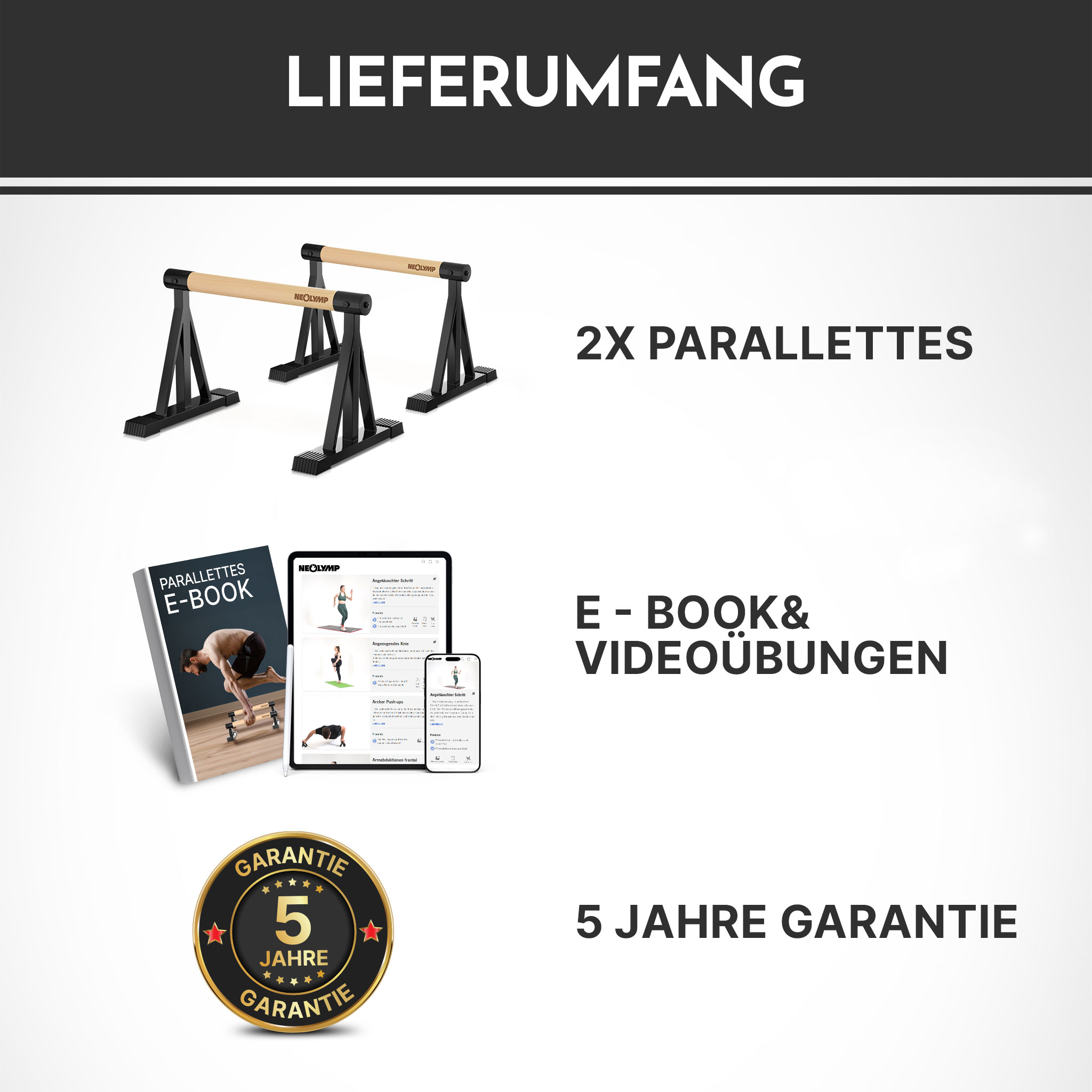 Zwei Paar Parallelbarren, E-Book, Videoübungen und 5 Jahre Garantie.