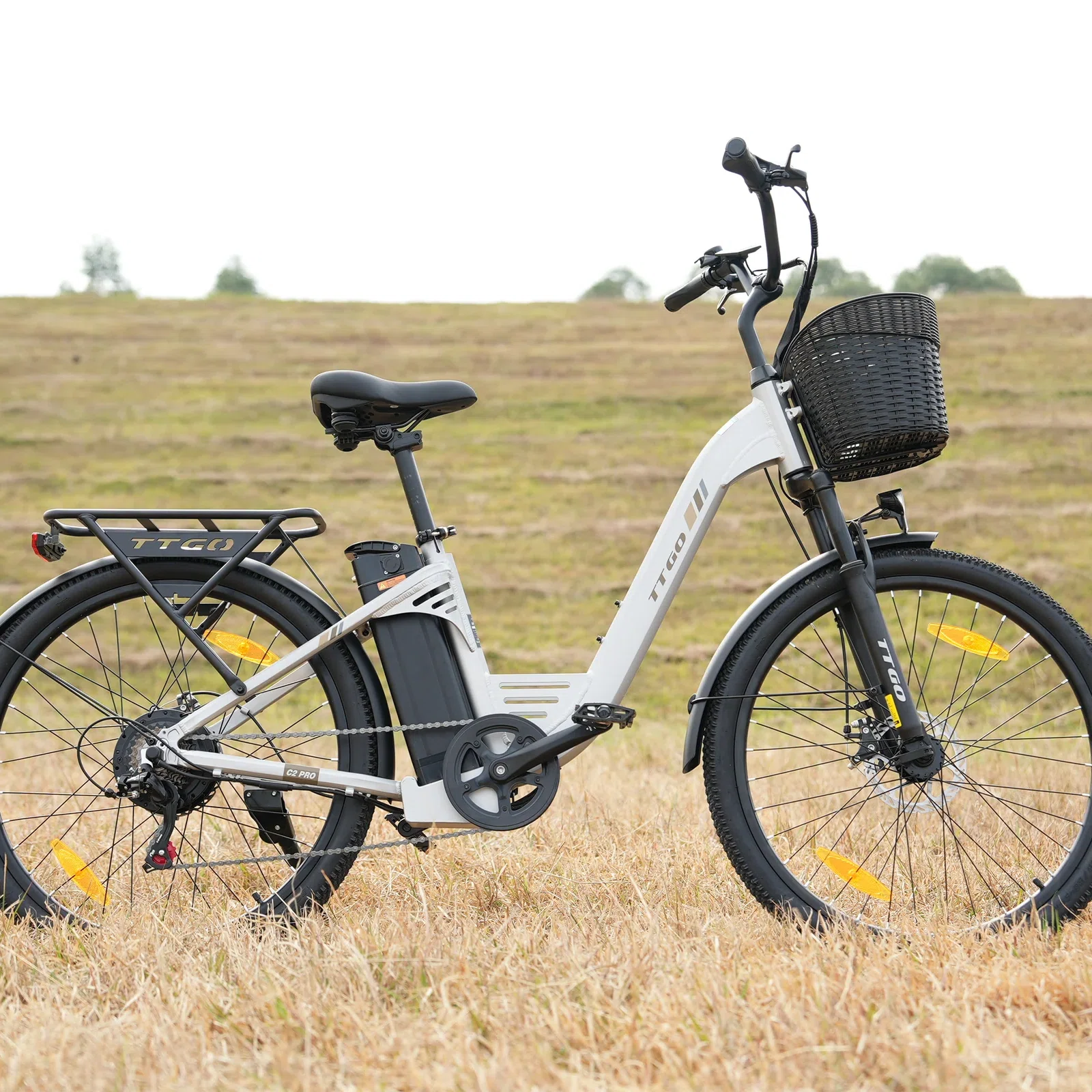 Una e-bike bianca con cestino e portapacchi neri su erba secca.