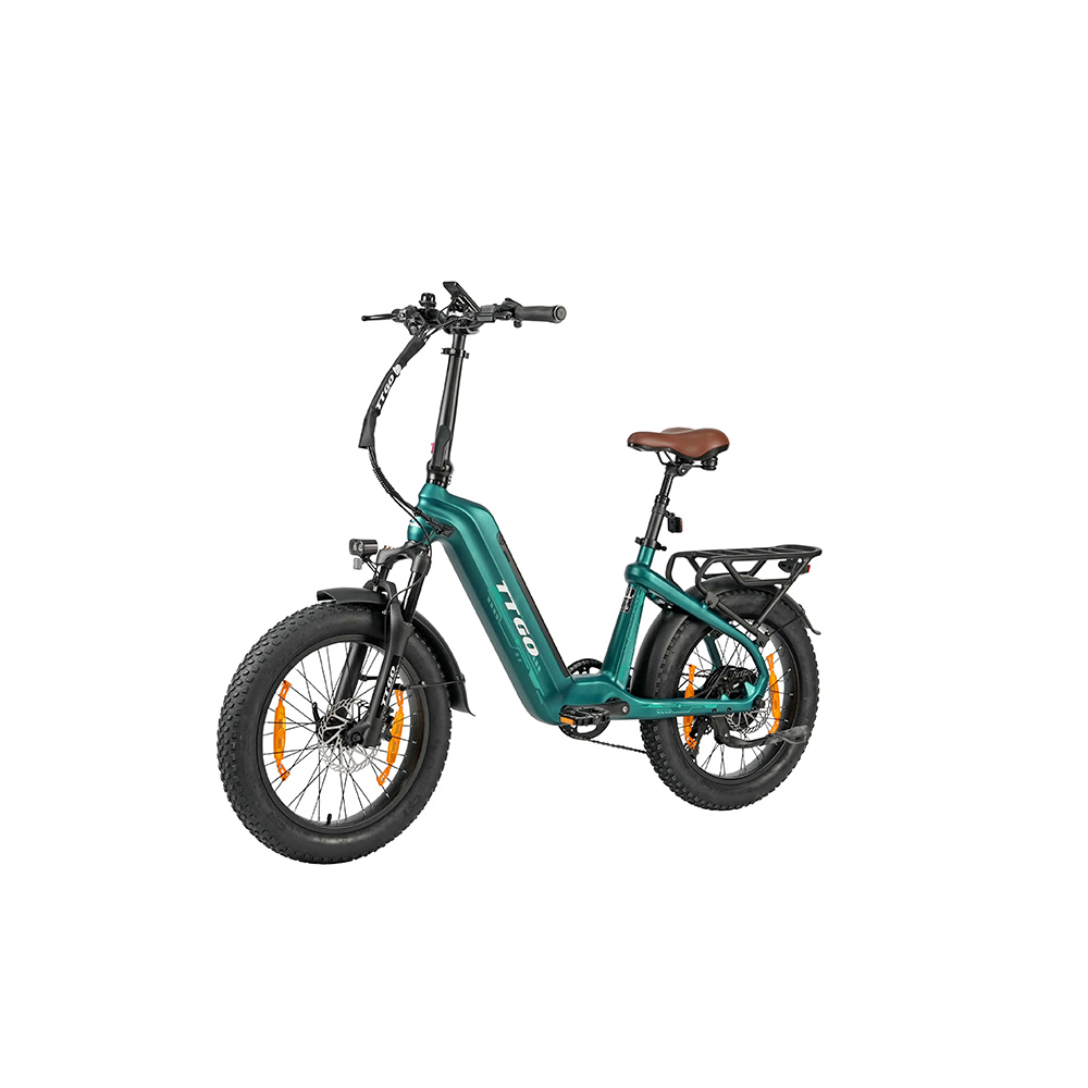 Una bici elettrica color verde acqua con ruote larghe, sella marrone e portapacchi.