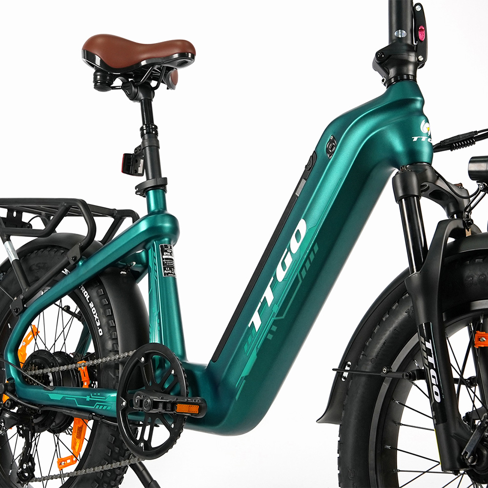 Una e-bike verde con sella marrone, pneumatici larghi e portapacchi.