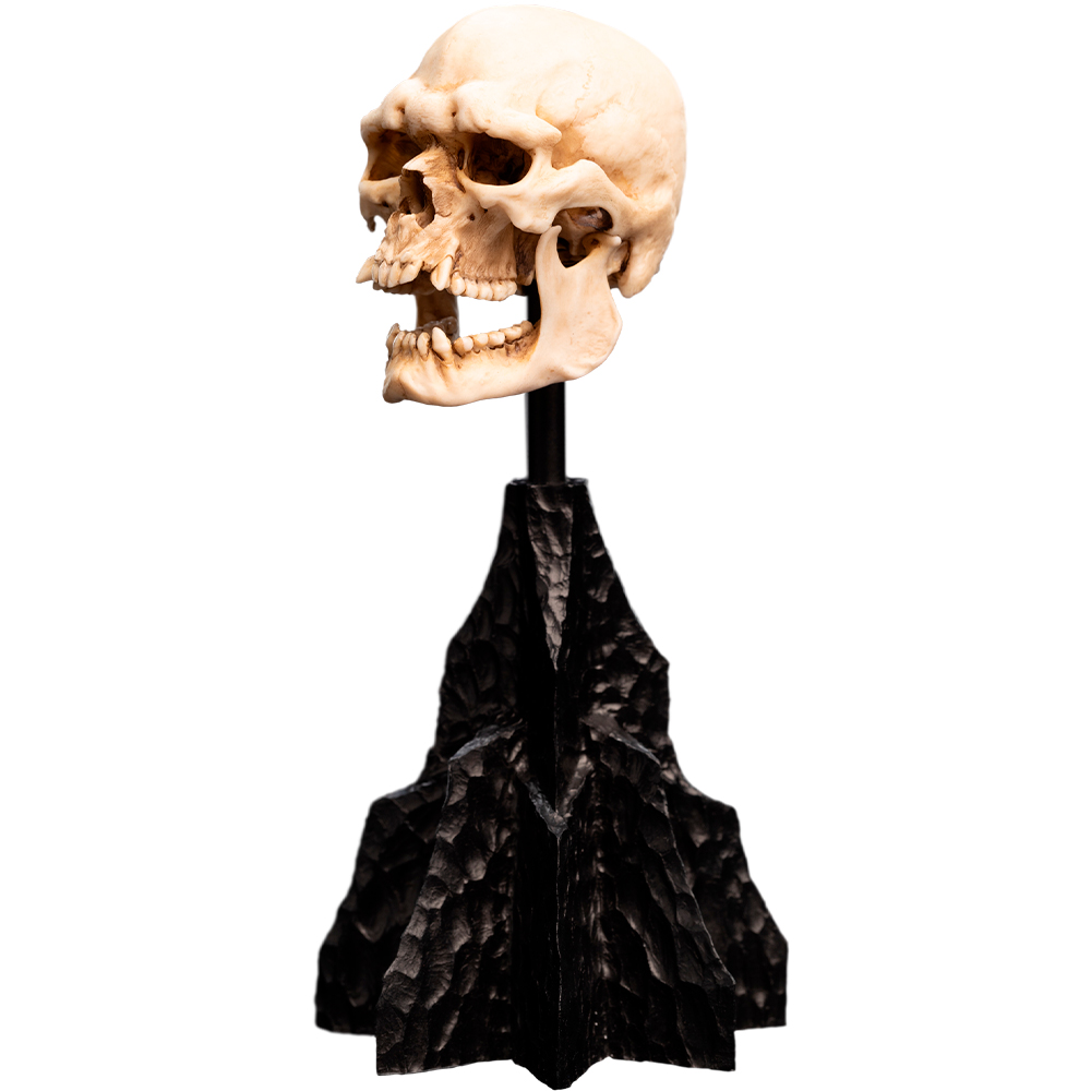 Ein hellbeiger Totenkopf auf einem schwarzen, zerklüfteten Sockel.