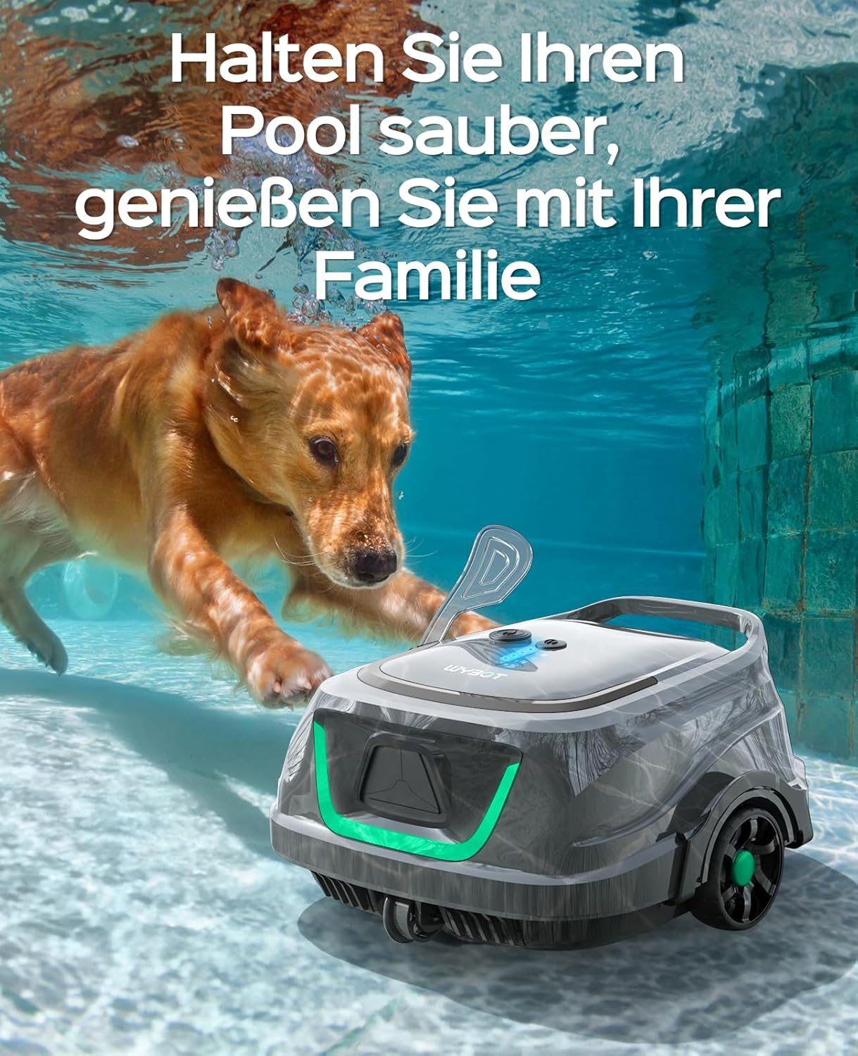 Ein Hund schwimmt neben einem Poolroboter im blauen Wasser.