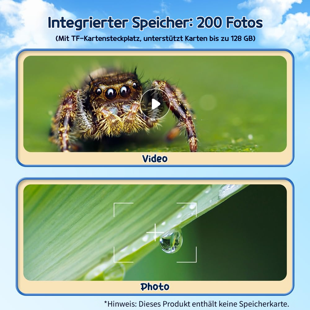 Zwei Bilder: Oben Spinne (Video), unten Wassertropfen auf Blatt (Foto).