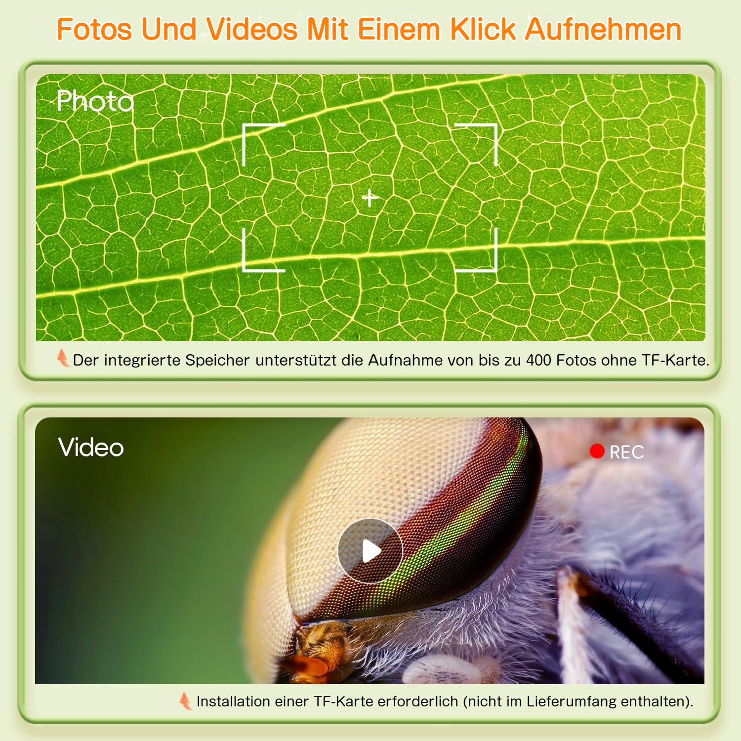Nahaufnahme eines grünen Blattes und eines Insekts mit "REC"-Symbol.