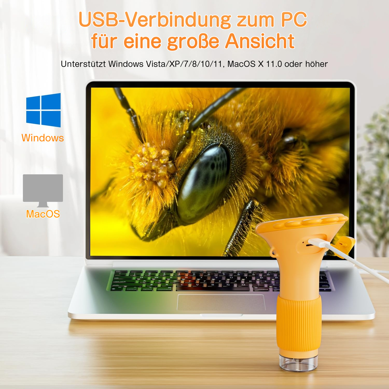 Laptop zeigt Nahaufnahme einer Biene. Daneben ein orangefarbener USB-Mikroskop.