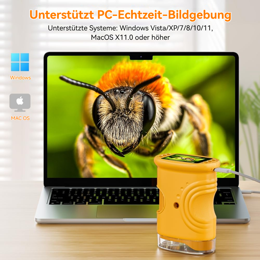 Laptop zeigt Nahaufnahme einer Biene; daneben ein gelbes Gerät. Unterstützt Windows/macOS.