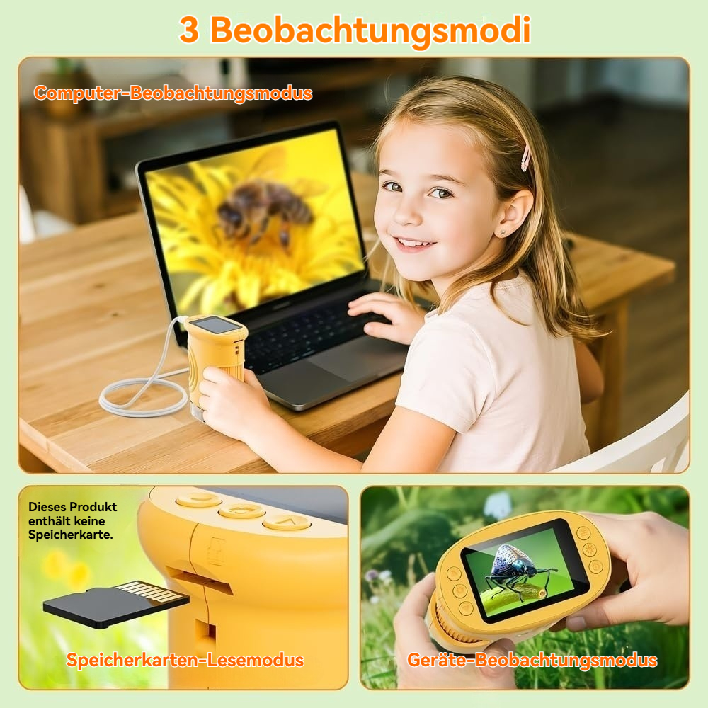 Mädchen blickt auf Laptop mit Bienenbild, Lupe daneben.