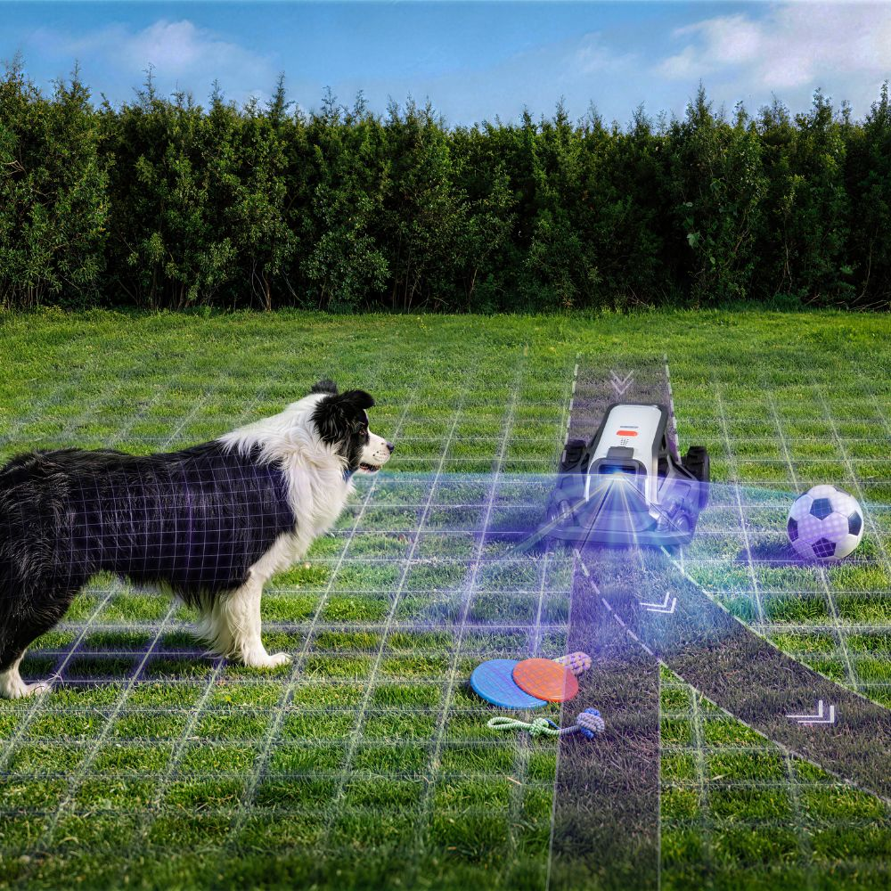 A border collie looks at a robot on a lawn with toys and a ball.