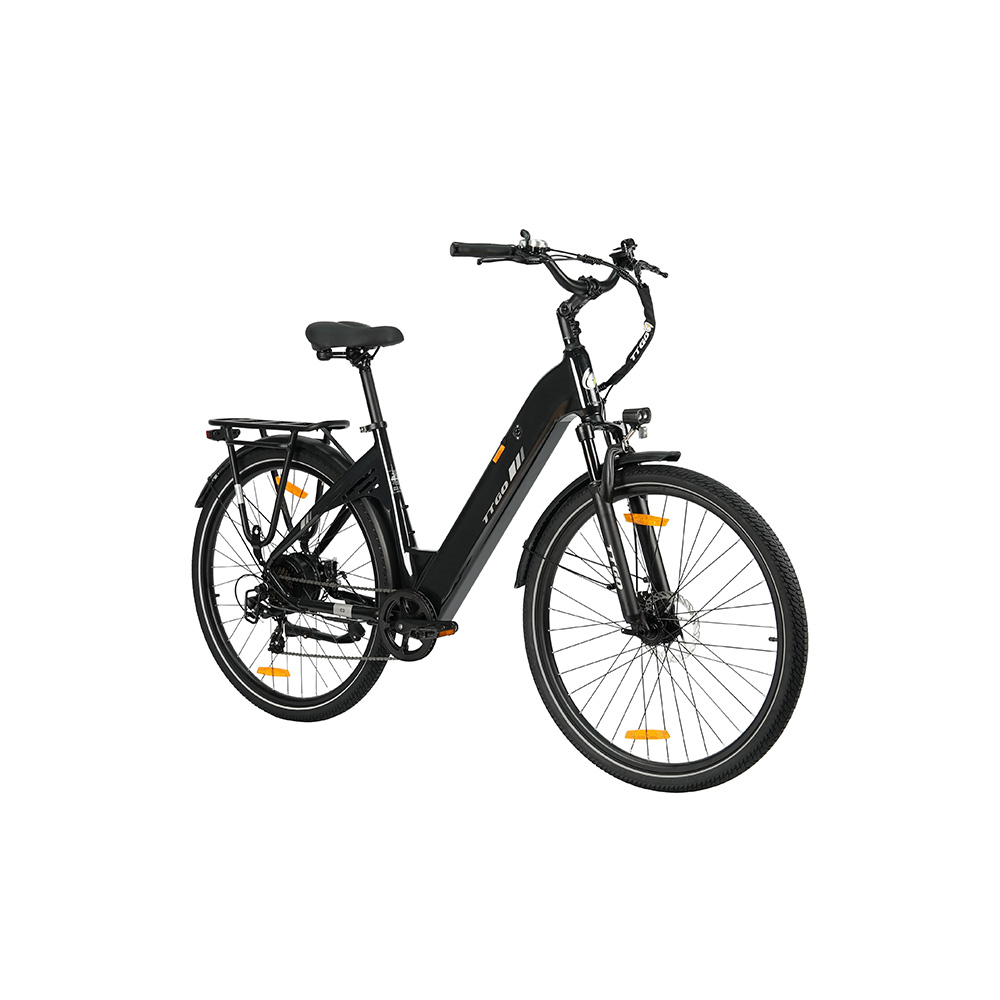 Una bicicletta elettrica nera con portapacchi e fanale, isolata su sfondo bianco.