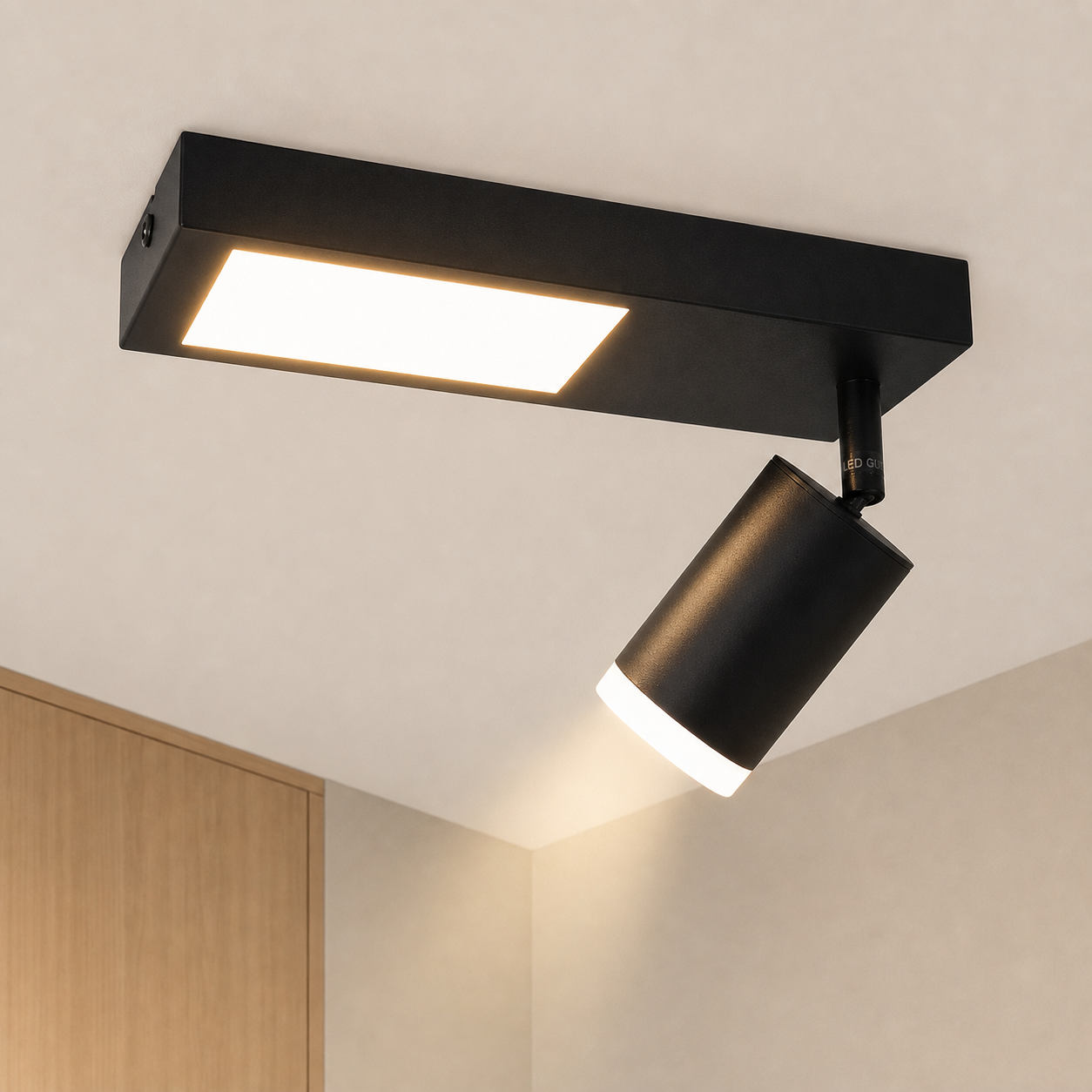 Faretti da soffitto neri con luce rettangolare e spot cilindrico.