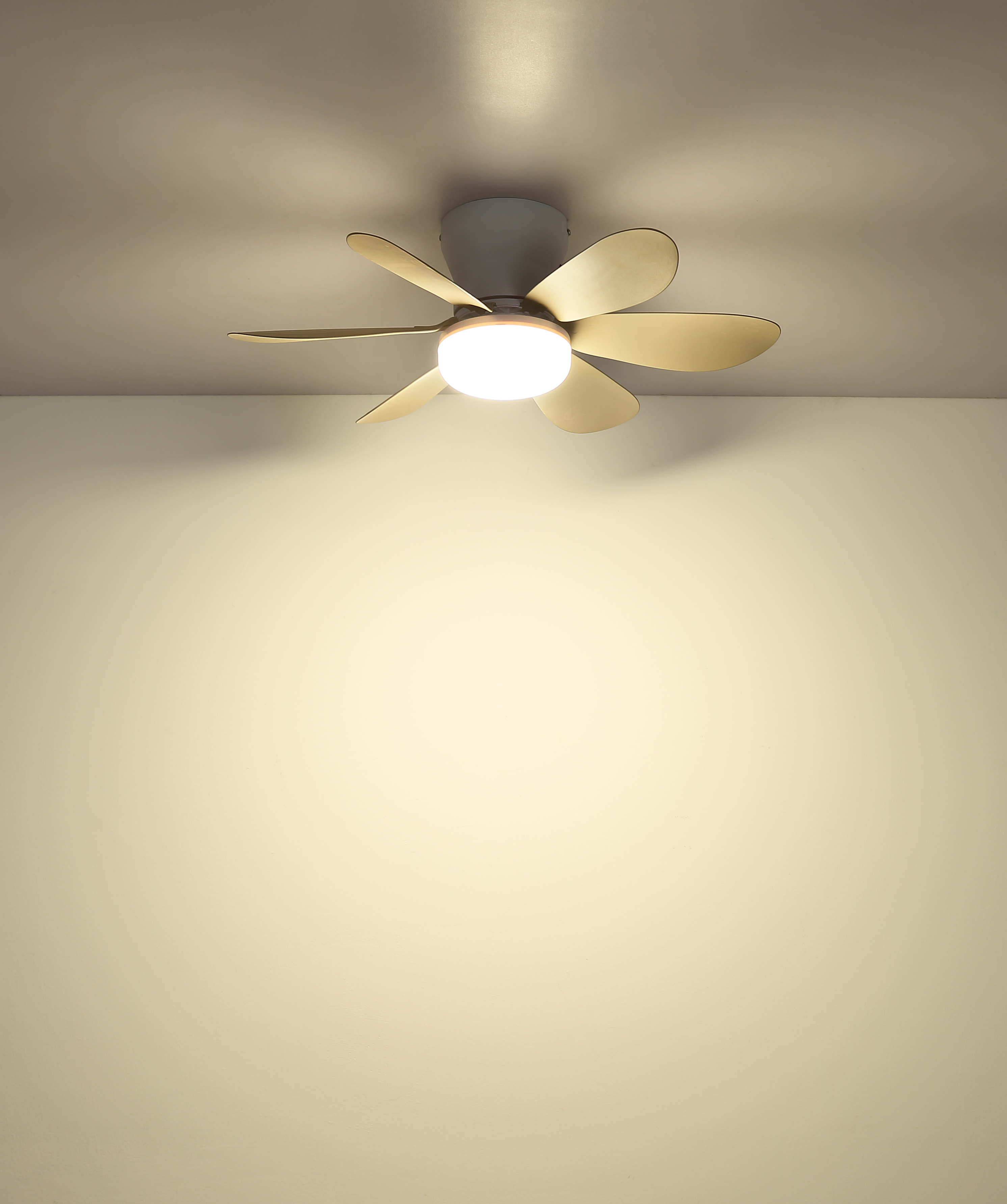Ein moderner Deckenventilator mit fünf goldenen Rotorblättern und integrierter Leuchte.