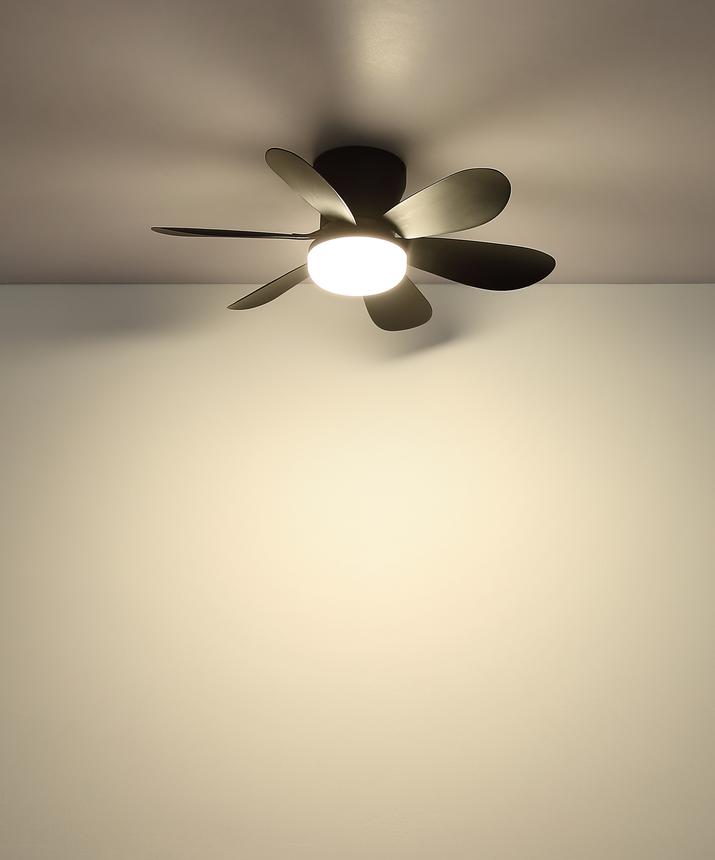Schwarzer Deckenventilator mit fünf Flügeln und integrierter LED-Leuchte.