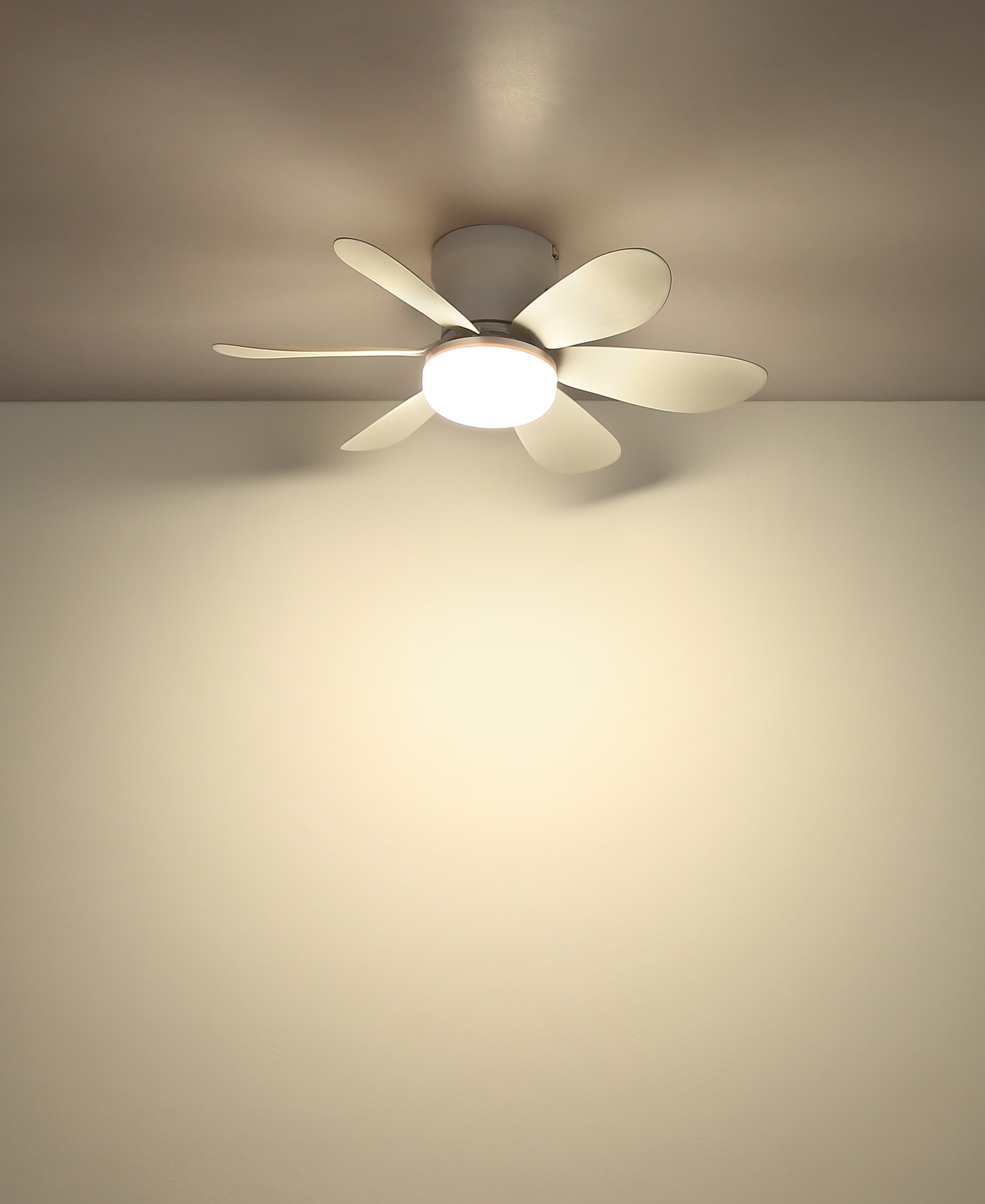 Ein weißer Deckenventilator mit integrierter LED-Beleuchtung hängt an einer Decke.
