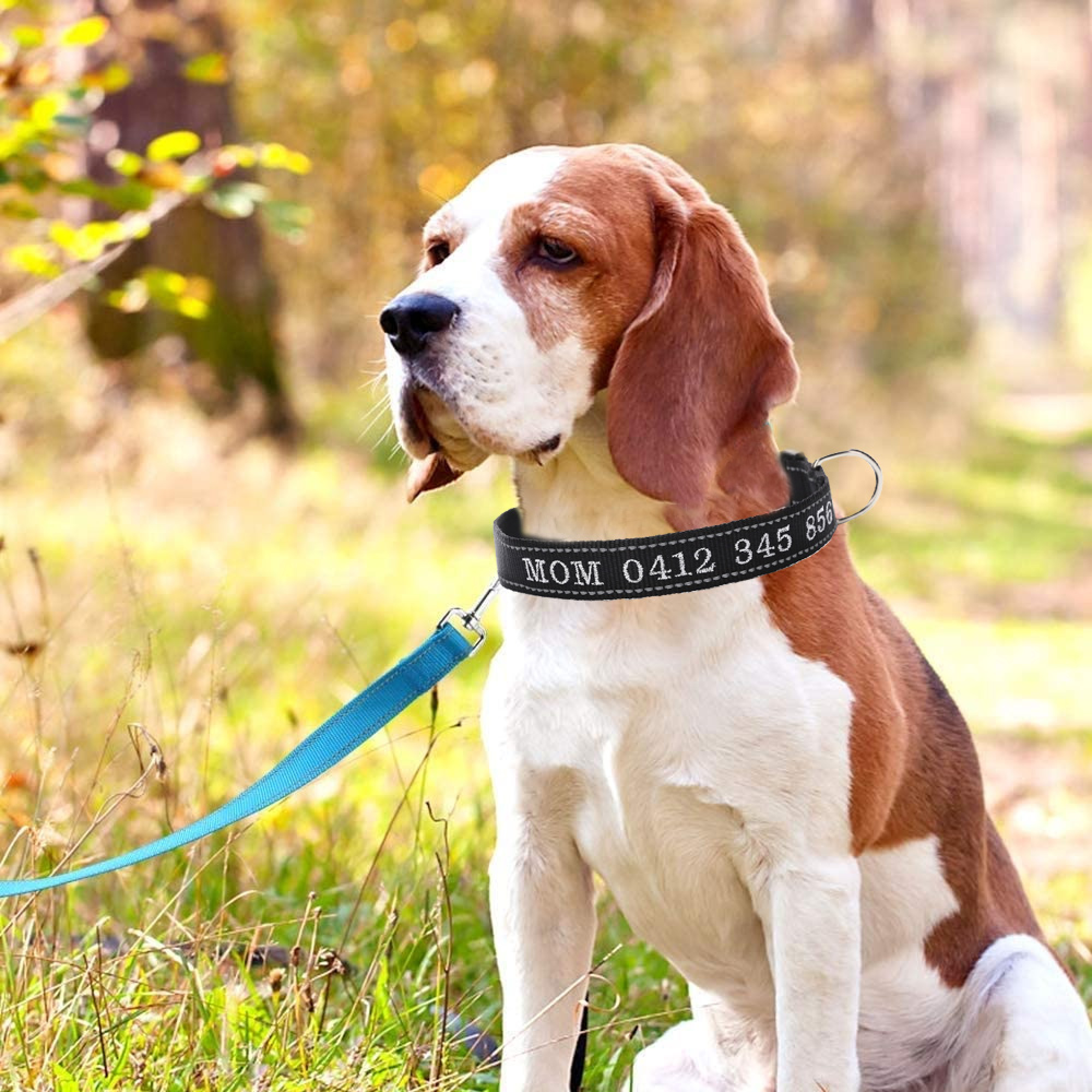 hundebetten fürs auto Autositz für Hunde von Sabro kaufen!