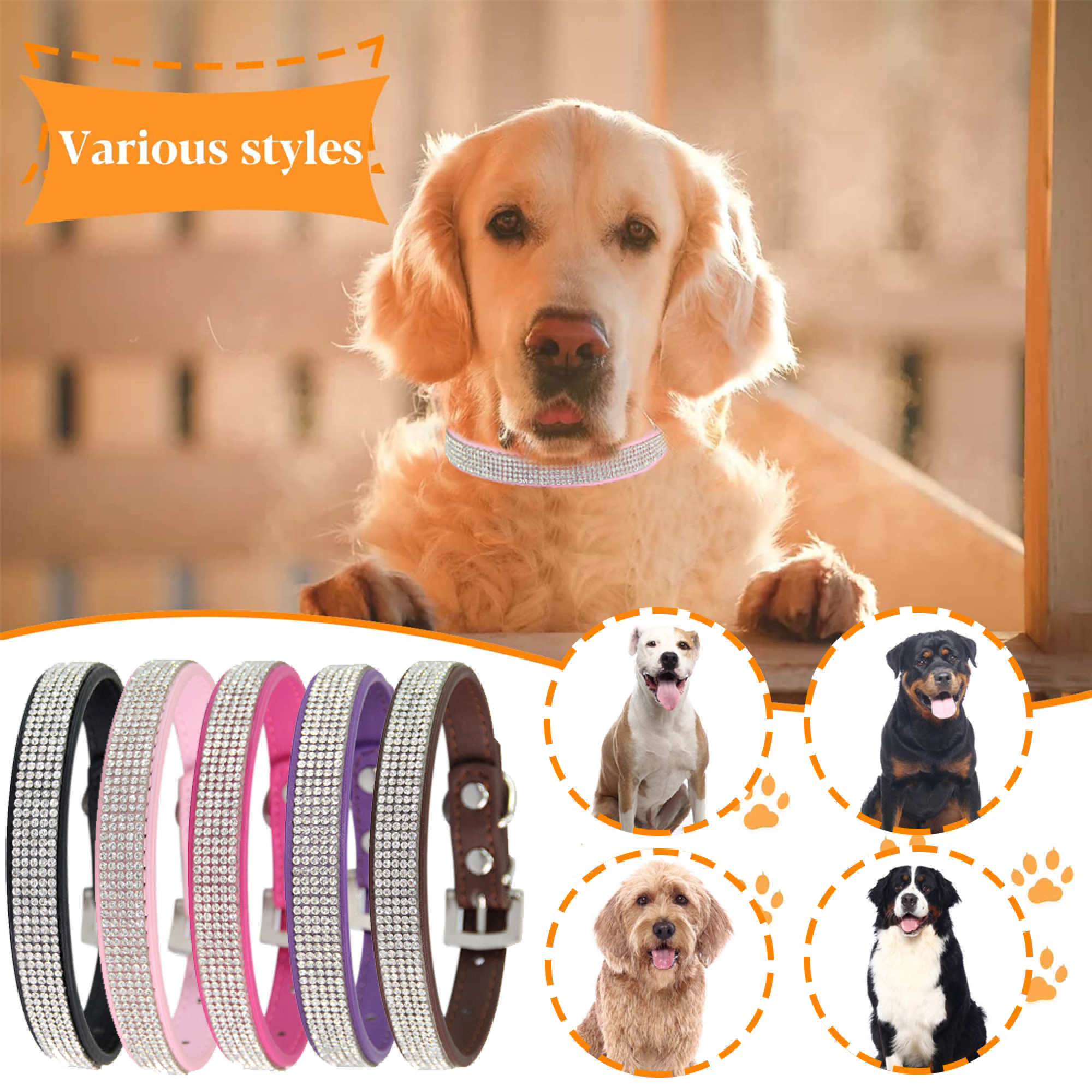 Ein Golden Retriever mit einem glitzernden Halsband, umgeben von verschiedenen Hundehalsbändern und Hundebildern.