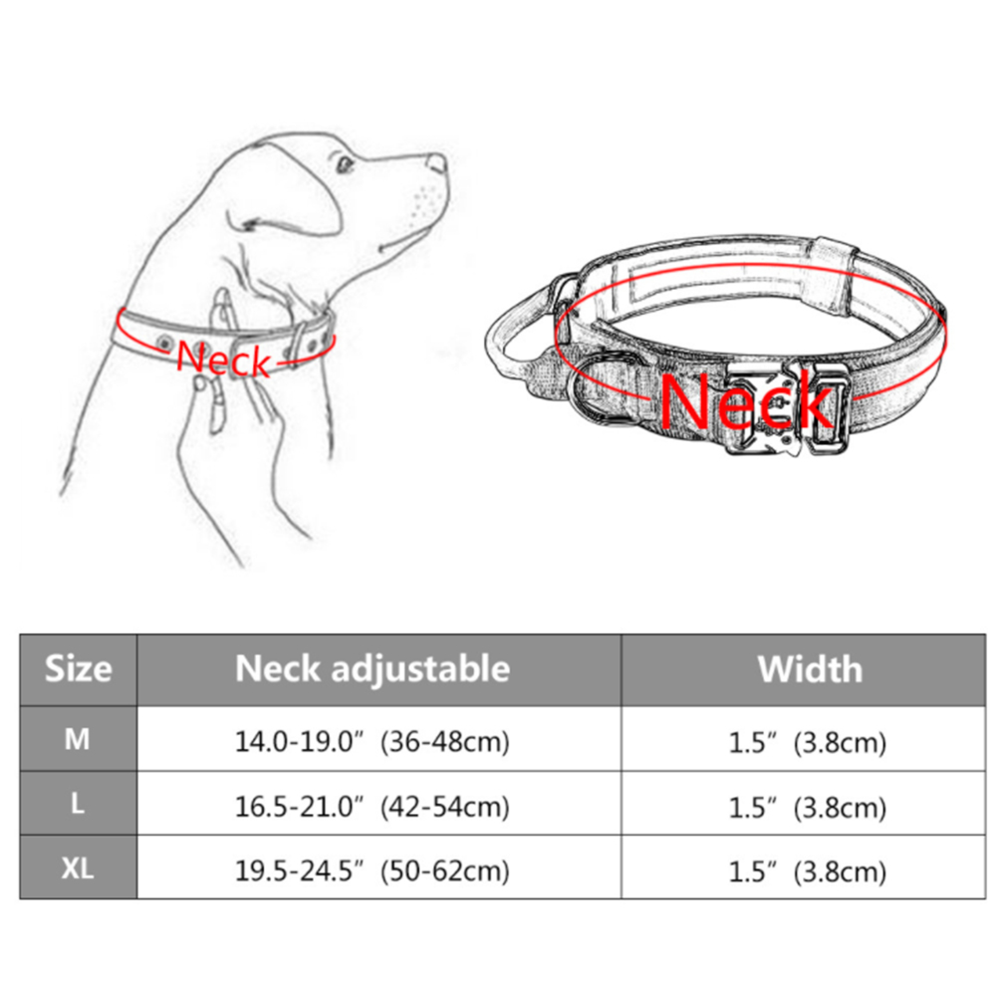 Schema mit Hundehalsband-Größen: Halsumfang und Breite für M, L, XL.