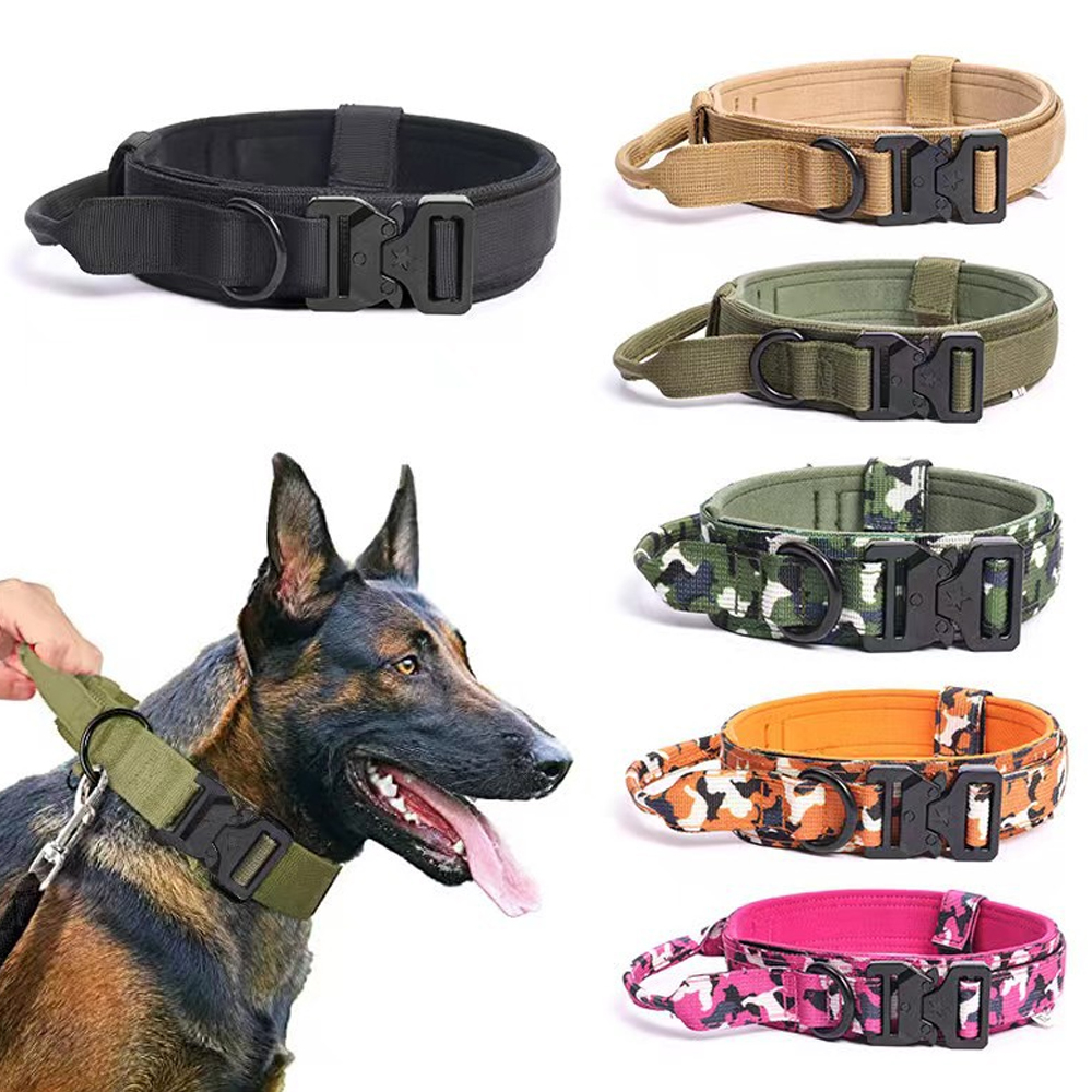 Hundehalsbänder in verschiedenen Farben und Mustern, eines an einem Hund.