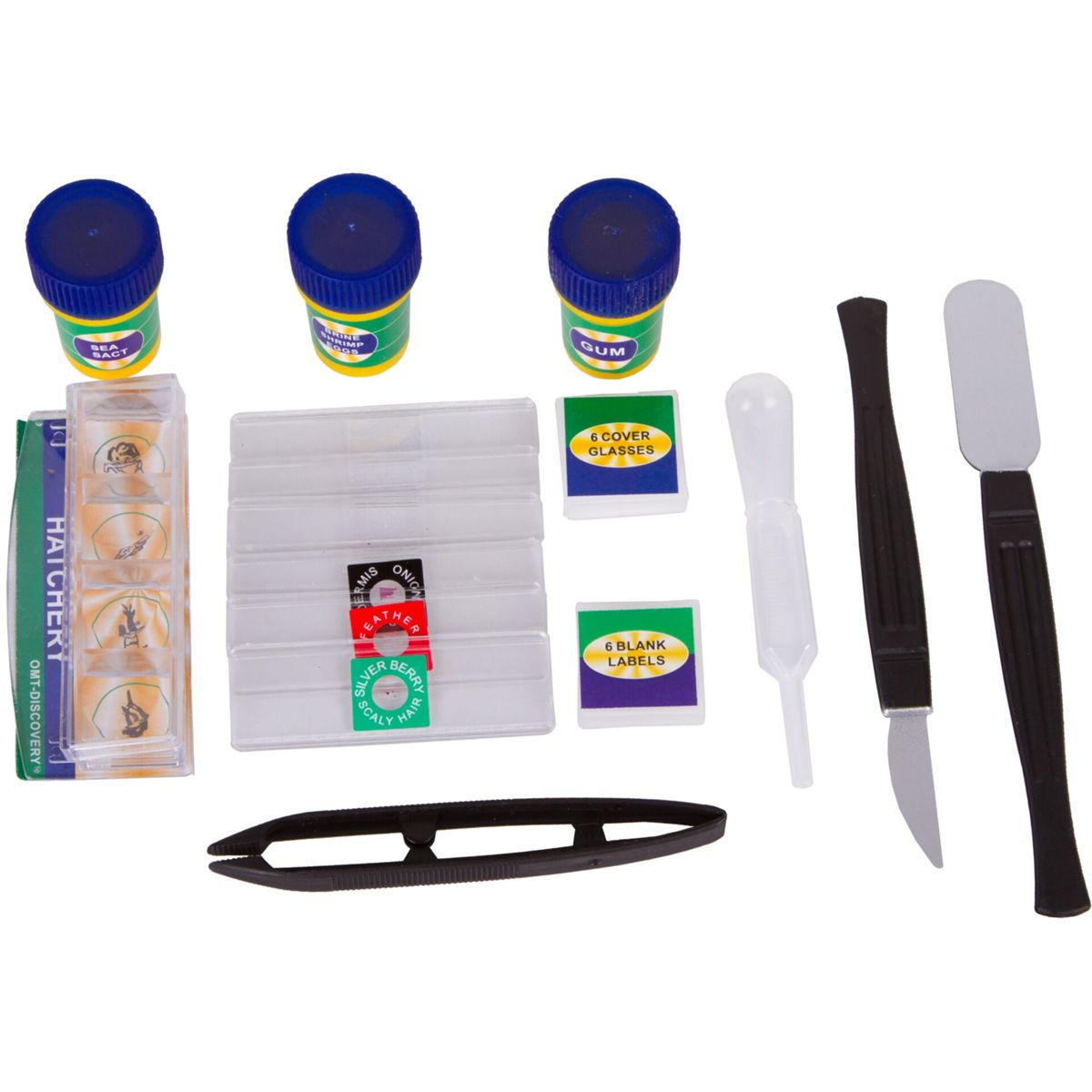 Ein Mikroskopie-Set mit drei Gläsern, Objektträgern, Pipette, Pinzette und Skalpellen.