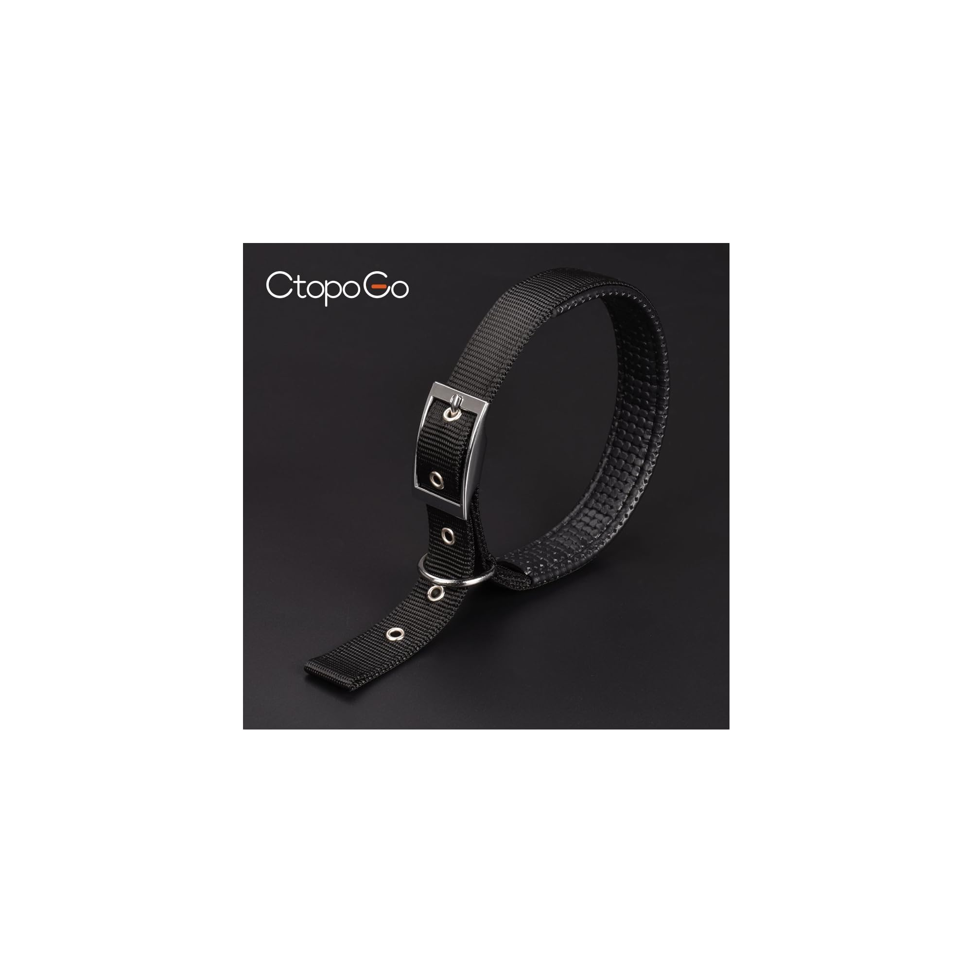 Schwarzes Halsband mit Metallschnalle und D-Ring auf schwarzem Hintergrund.