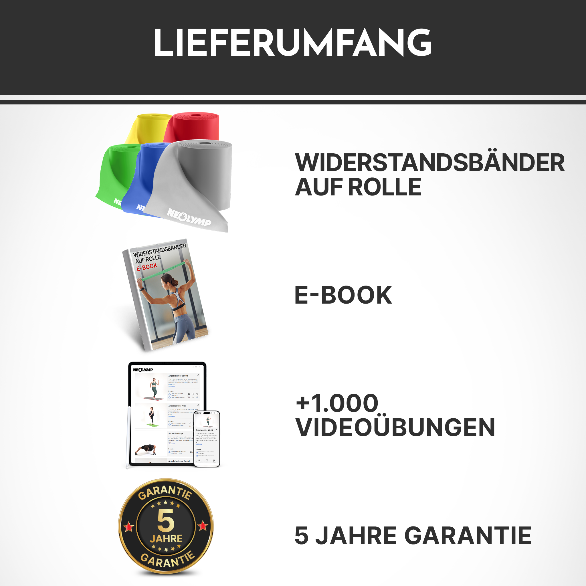 Lieferumfang: Widerstandsbänder, E-Book, über 1000 Videoübungen, 5 Jahre Garantie.