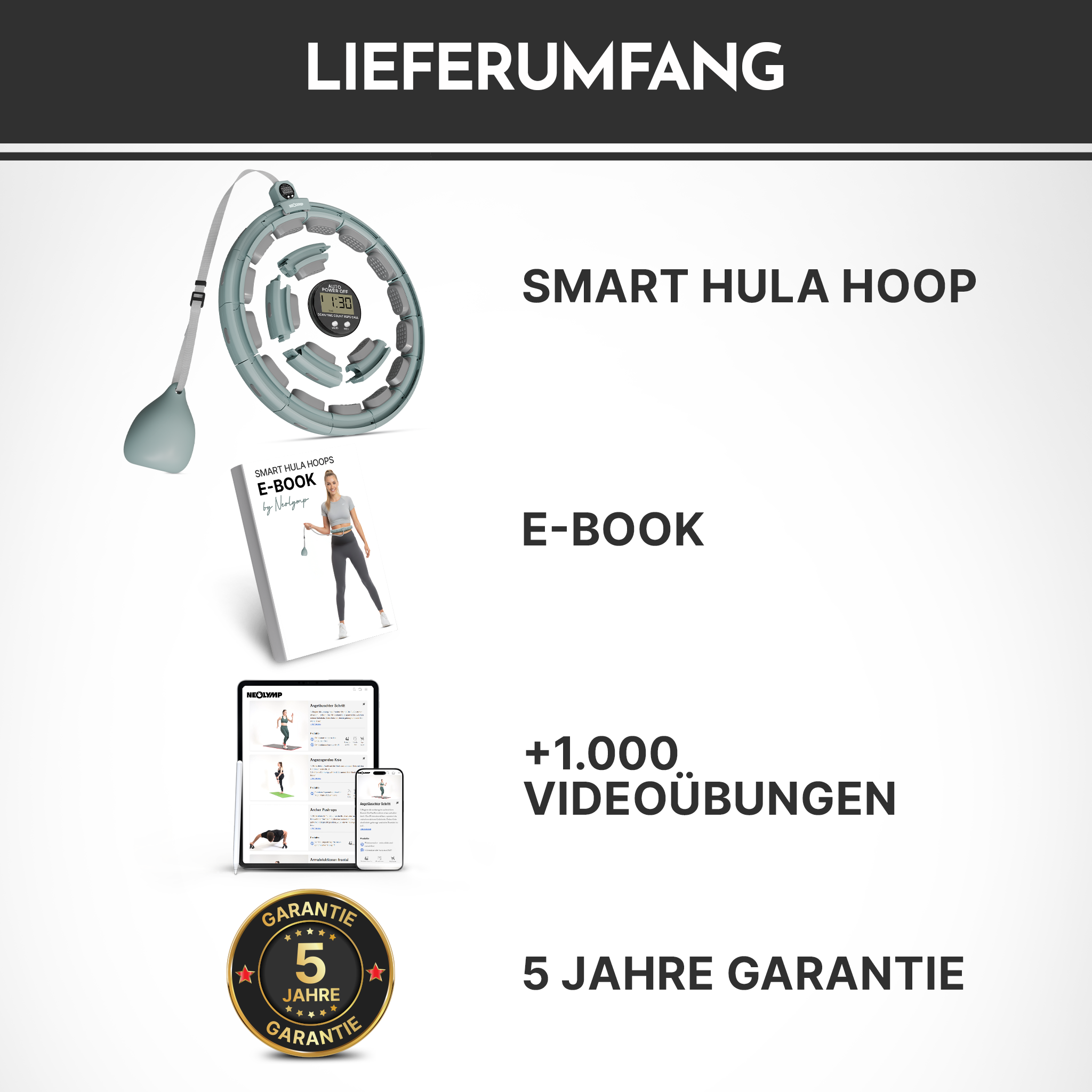 Lieferumfang: Ein Smart Hula Hoop, E-Book, über 1000 Videoübungen, 5 Jahre Garantie.