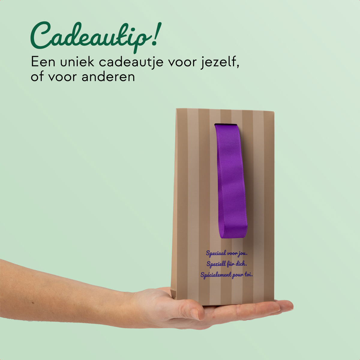 Een bruine cadeauzak met paars lint, vastgehouden door een hand.