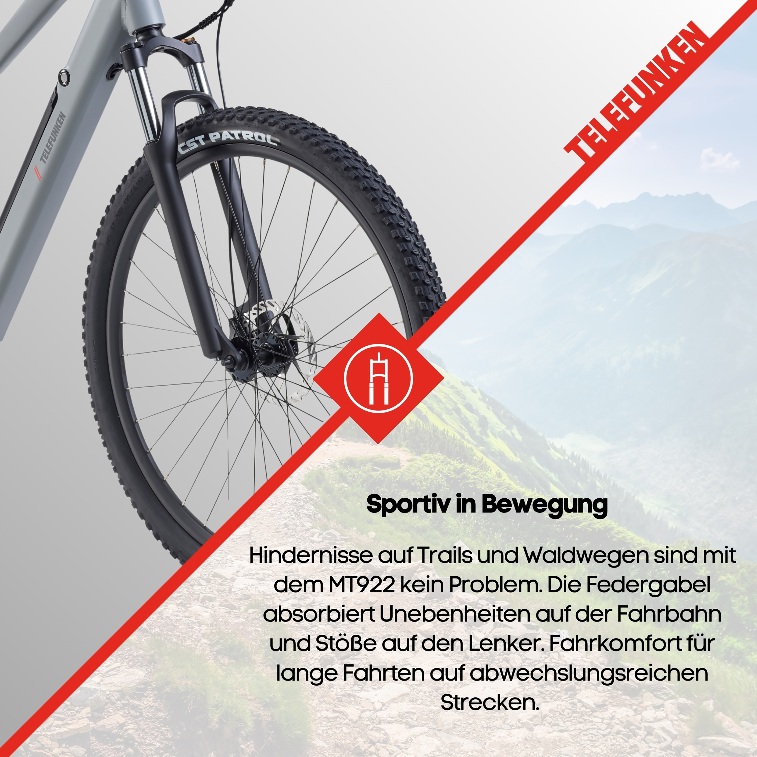 Graues Fahrrad mit Federgabel und grobstolliger Bereifung vor Berglandschaft.