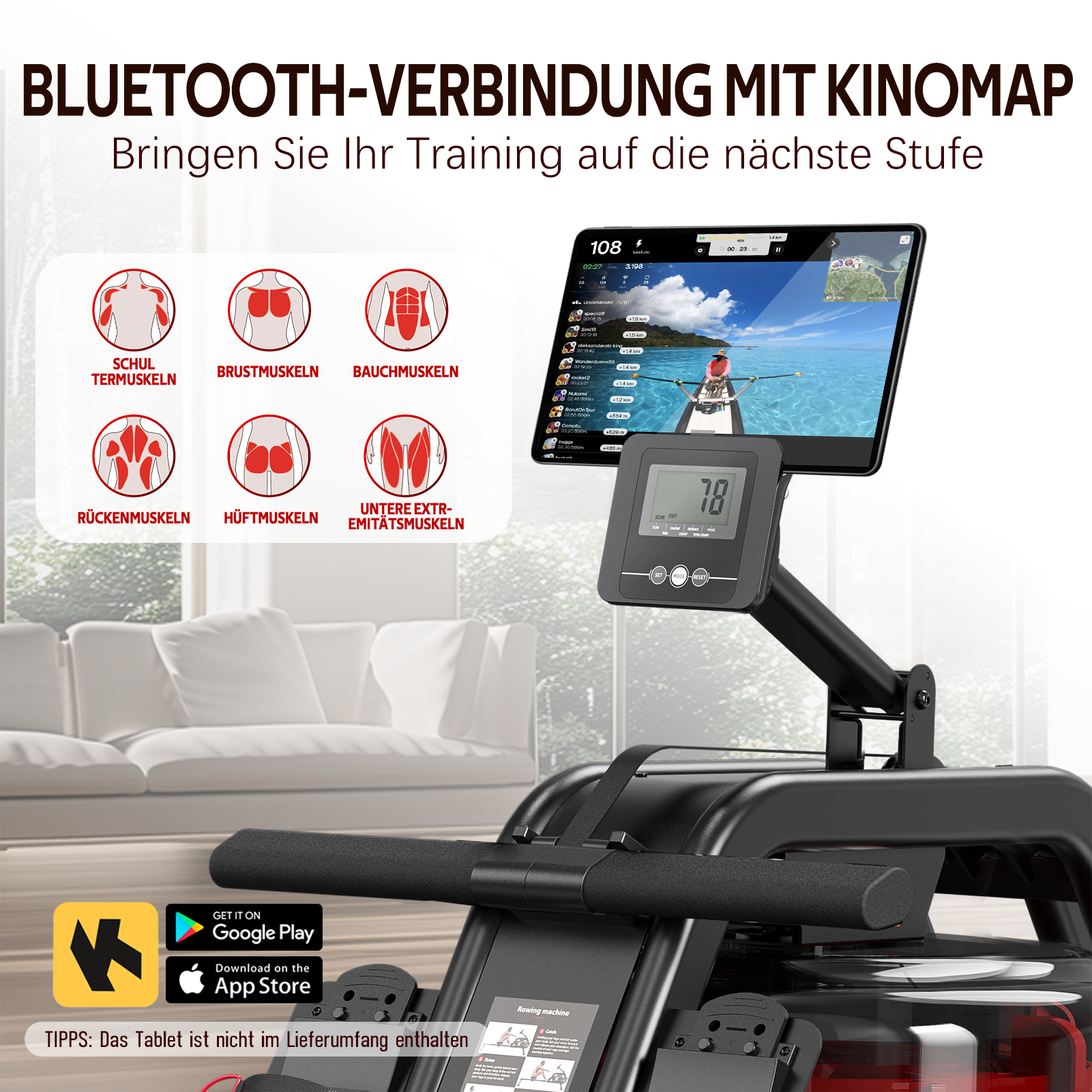Rudergerät mit Tablet, das eine Rudersimulation anzeigt. Muskelgruppen-Diagramme sind links.