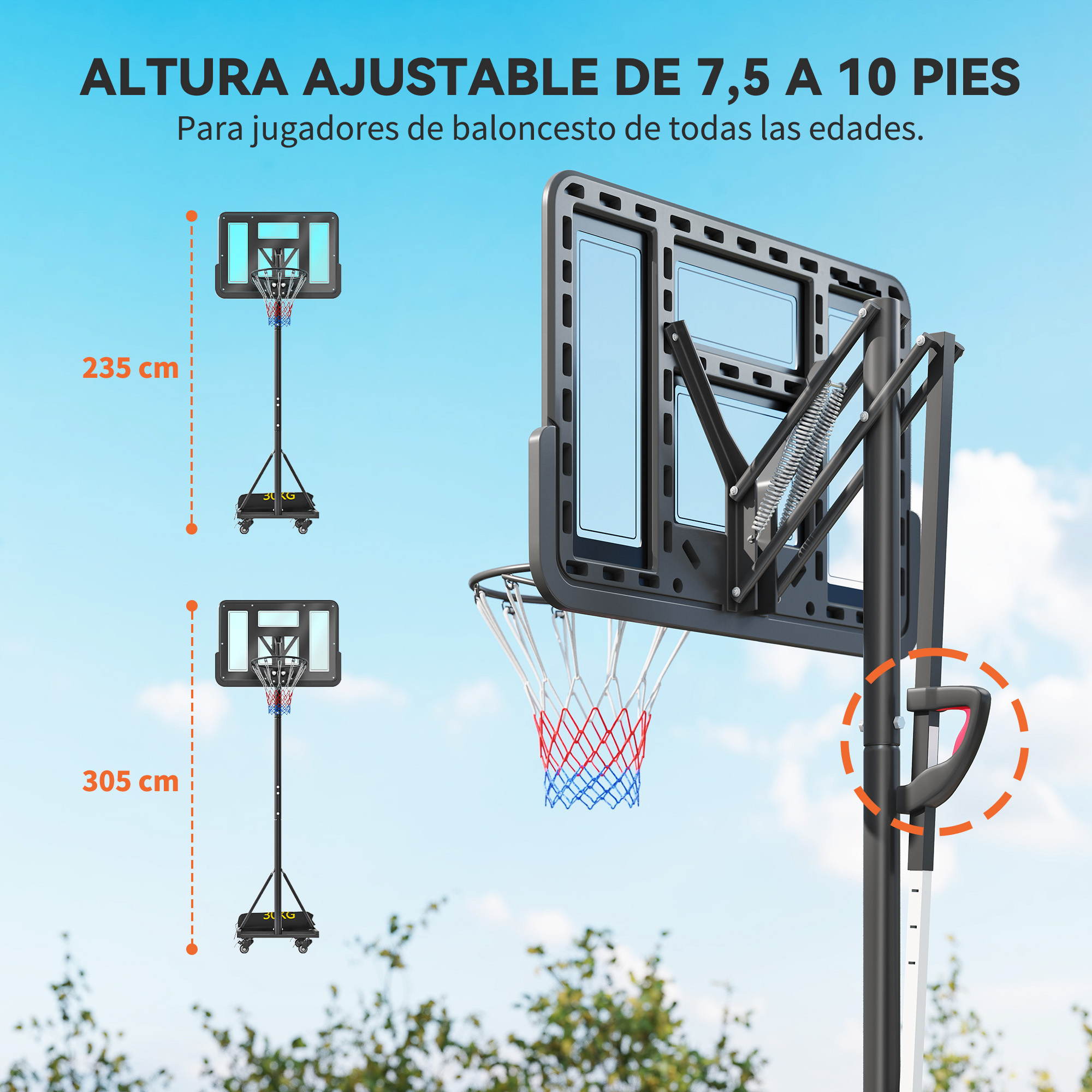 Aro de baloncesto ajustable a 235 cm y 305 cm de altura.