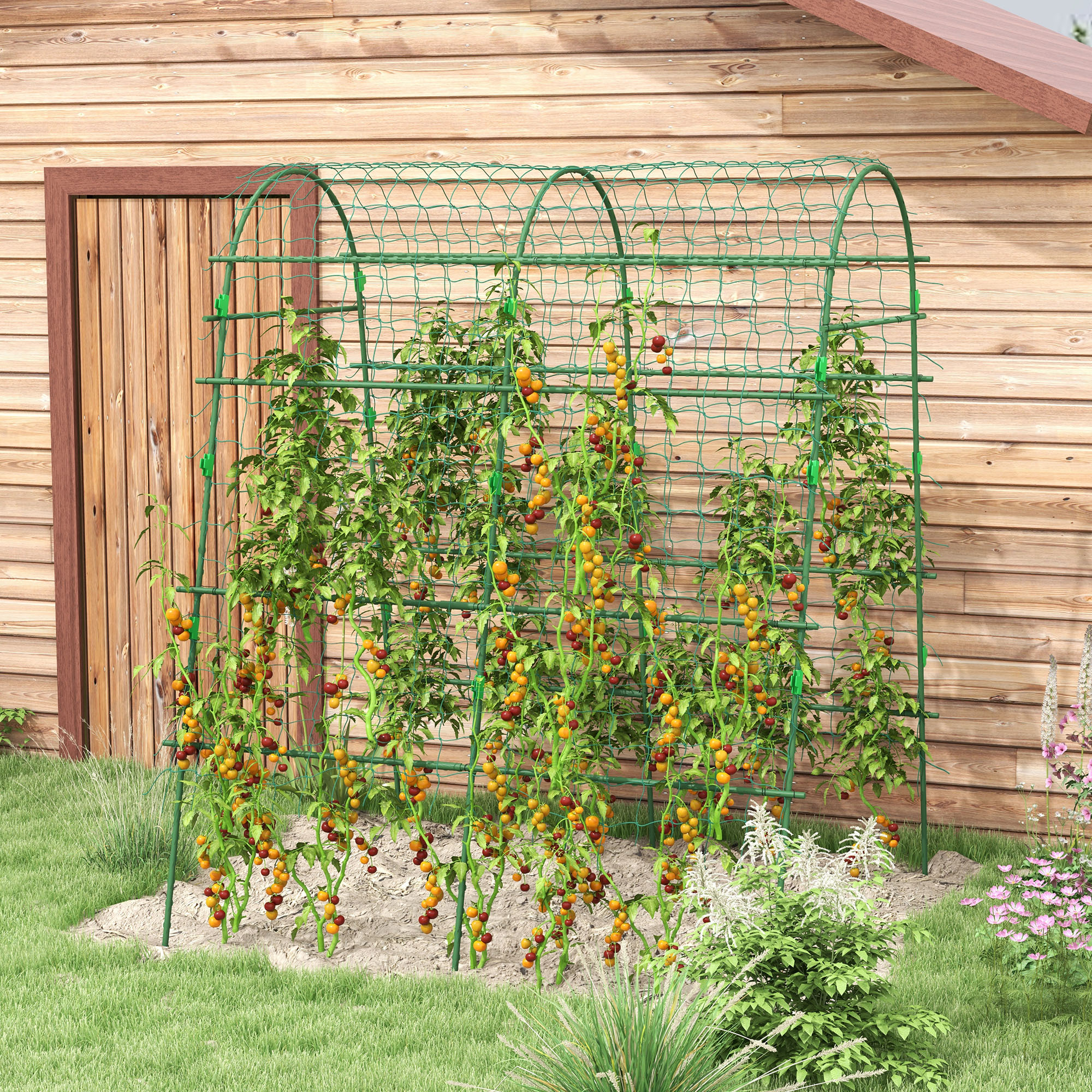 Enrejado verde con tomates contra pared de madera, césped y flores.