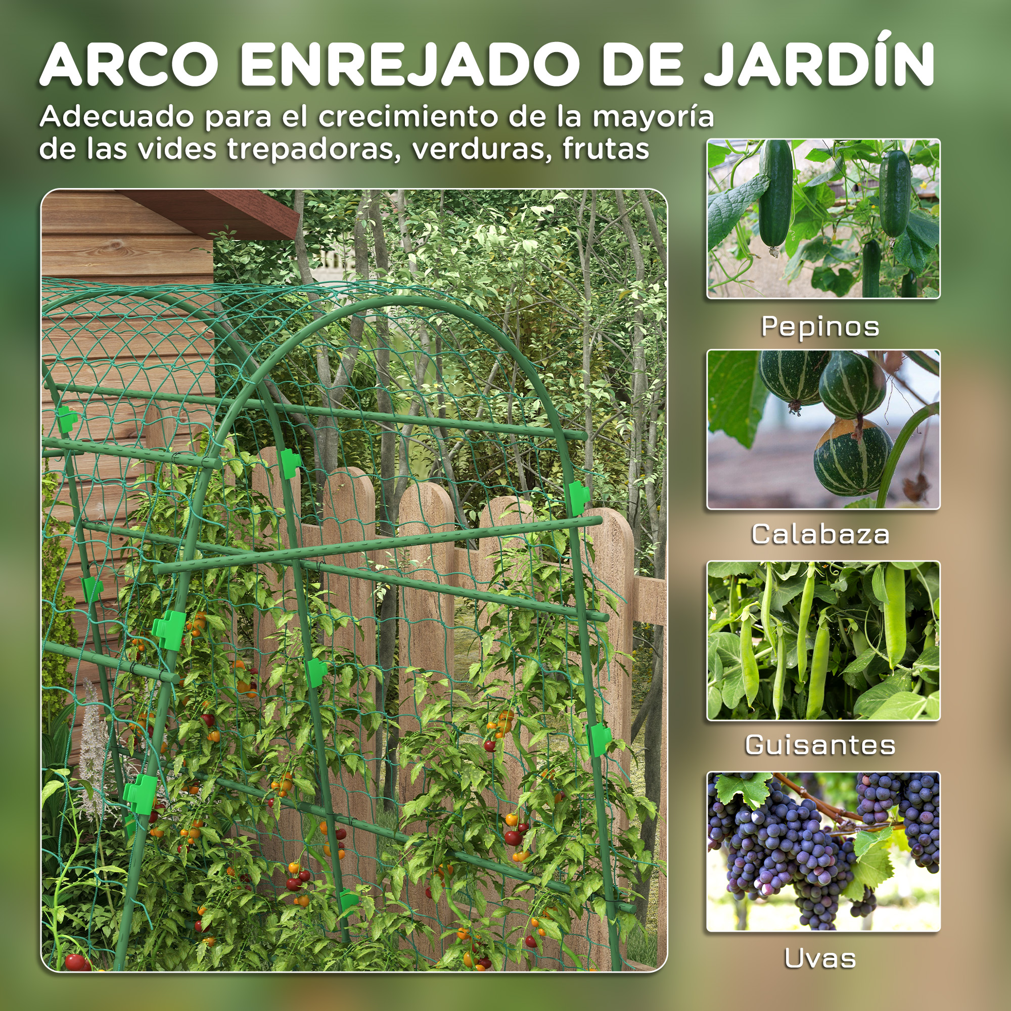 Un arco de jardín verde con plantas y frutos como pepinos, calabazas, guisantes y uvas.
