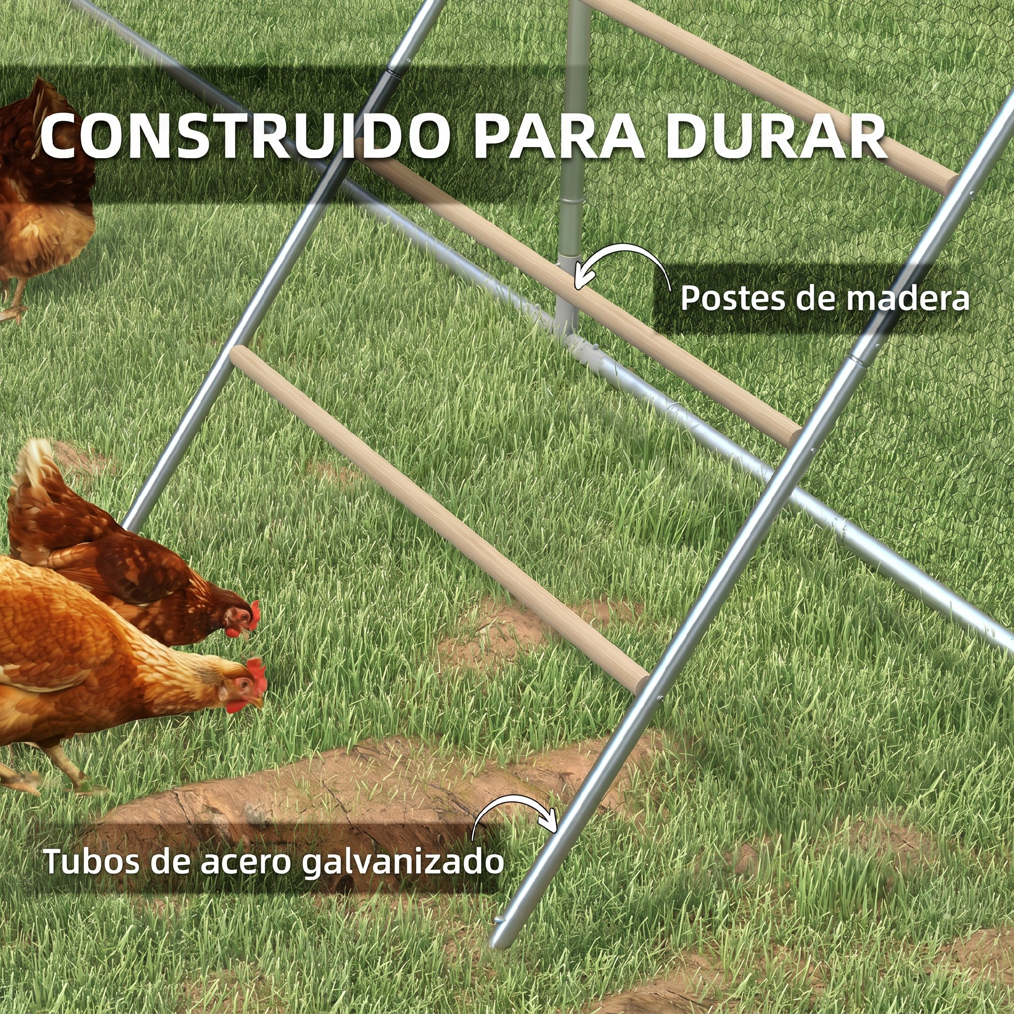 Gallinas sobre césped junto a una estructura de madera y metal.