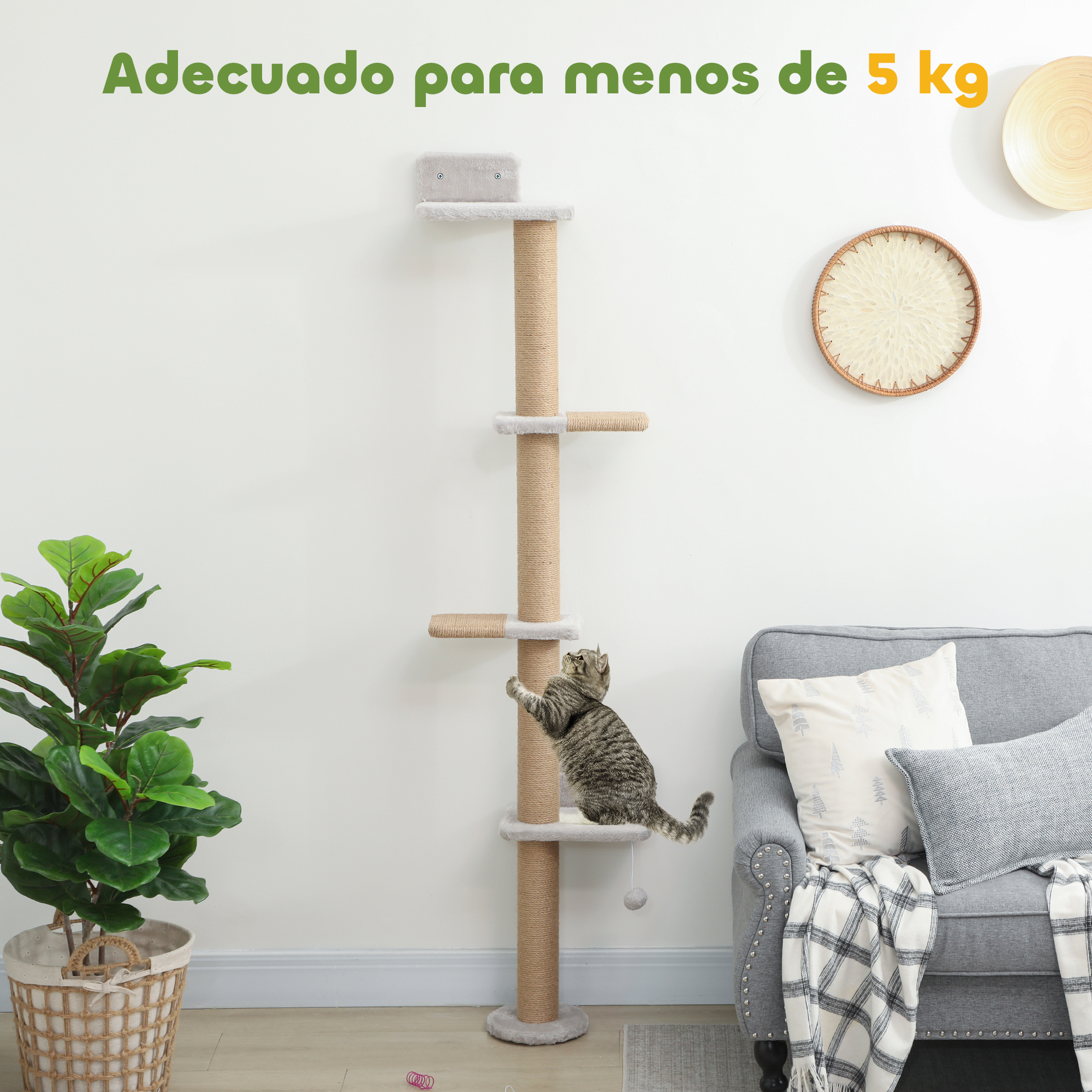 Un gato trepa a un rascador frente a un sofá y una planta.