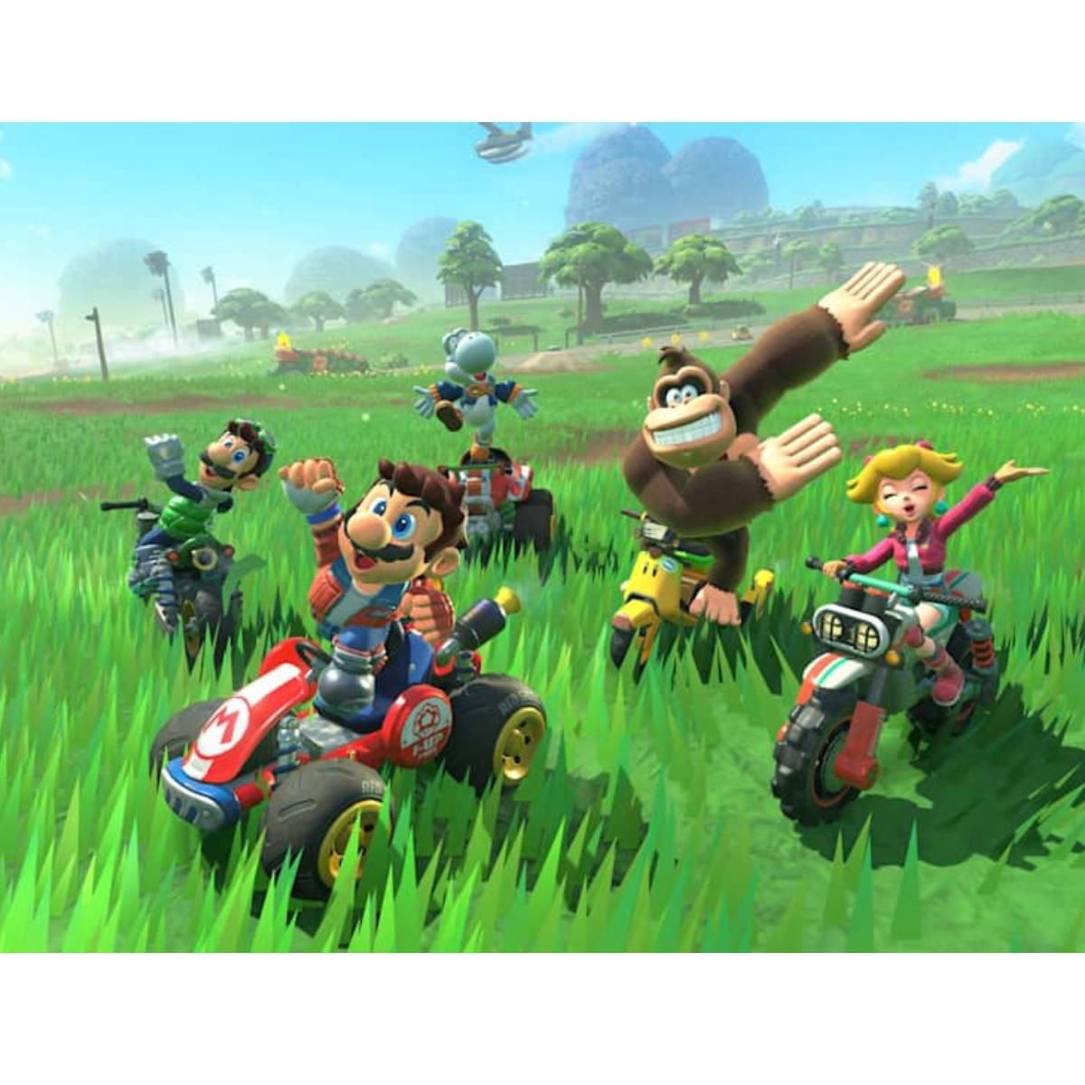 Mario, Luigi, Peach, Donkey Kong e Yoshi gareggiano sui go-kart in un campo.