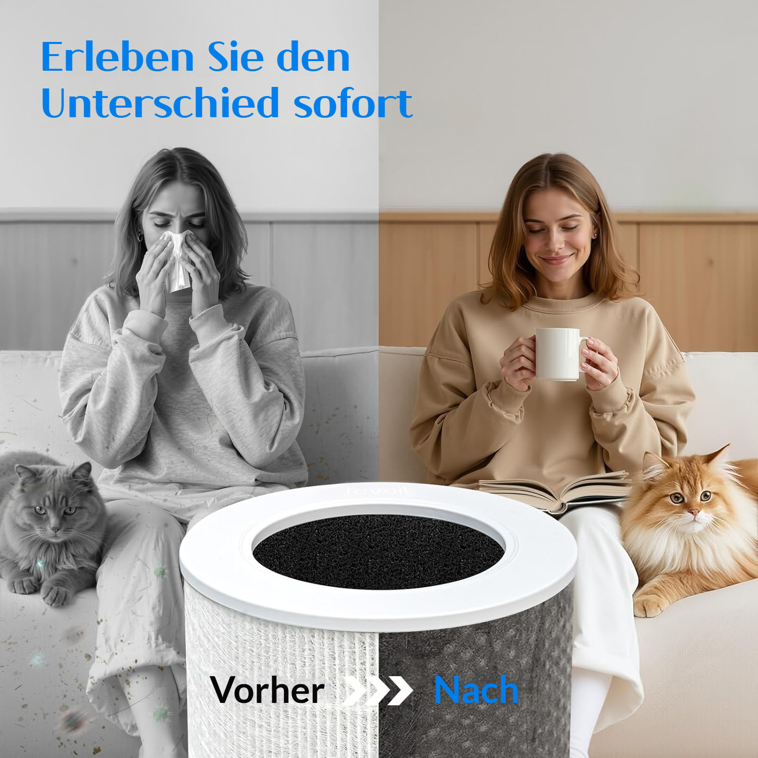 Vorher: Frau mit Taschentuch. Nachher: Frau mit Tasse und Buch. Zwei Katzen.