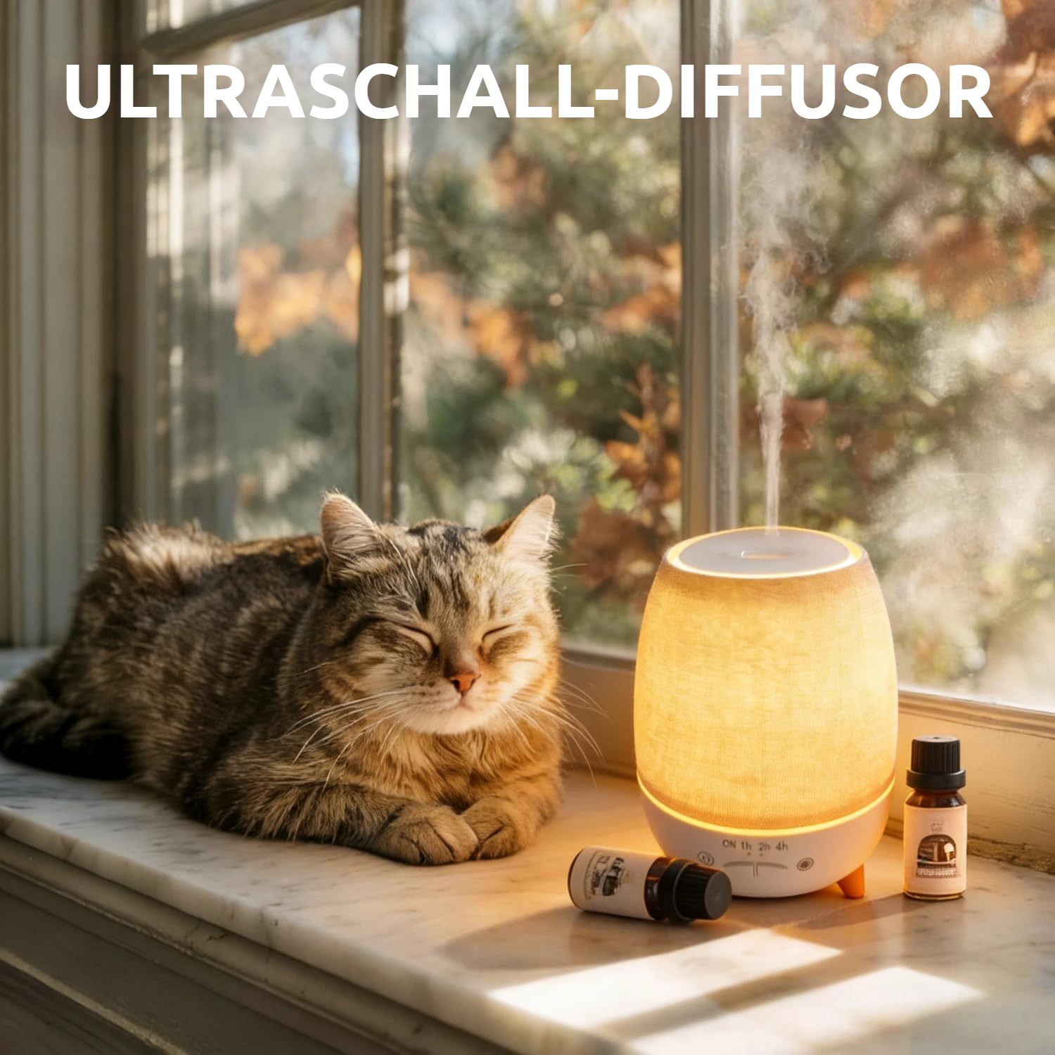 Eine Katze schläft neben einem leuchtenden Diffusor und Ölflaschen.