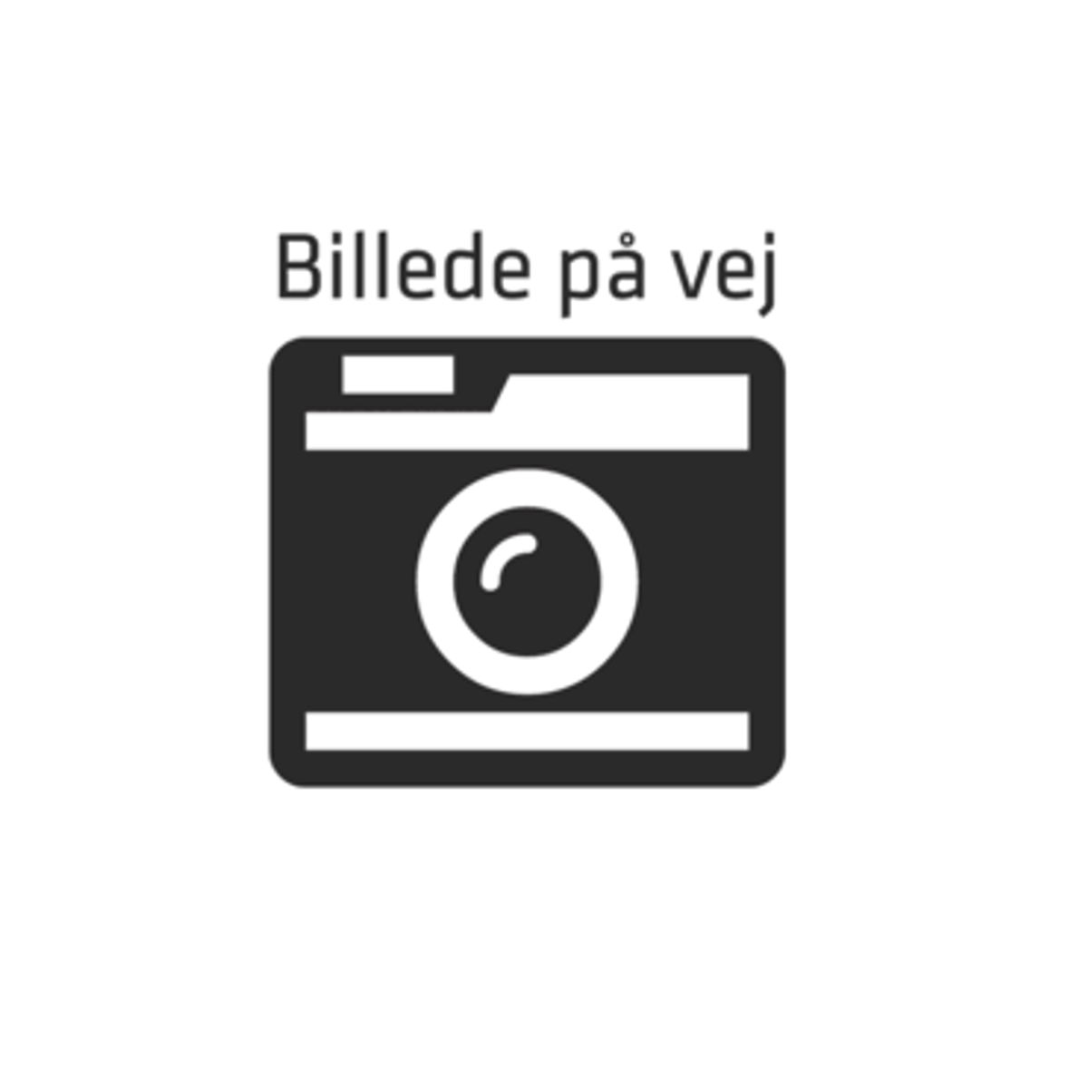 Icono de un símbolo de cámara con texto encima.