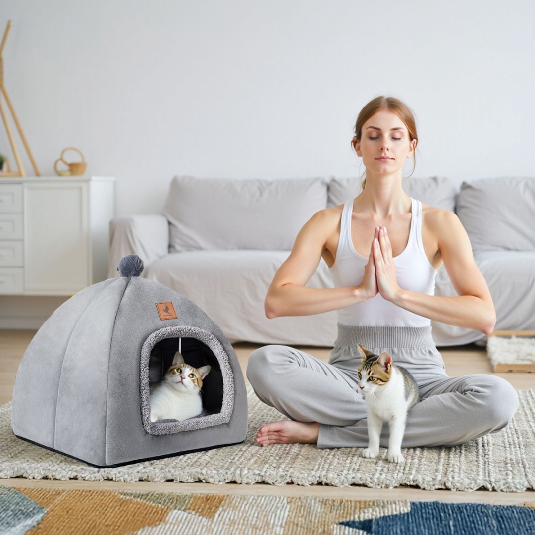 Woman meditating in lotus pose next to a cat tent with two cats.