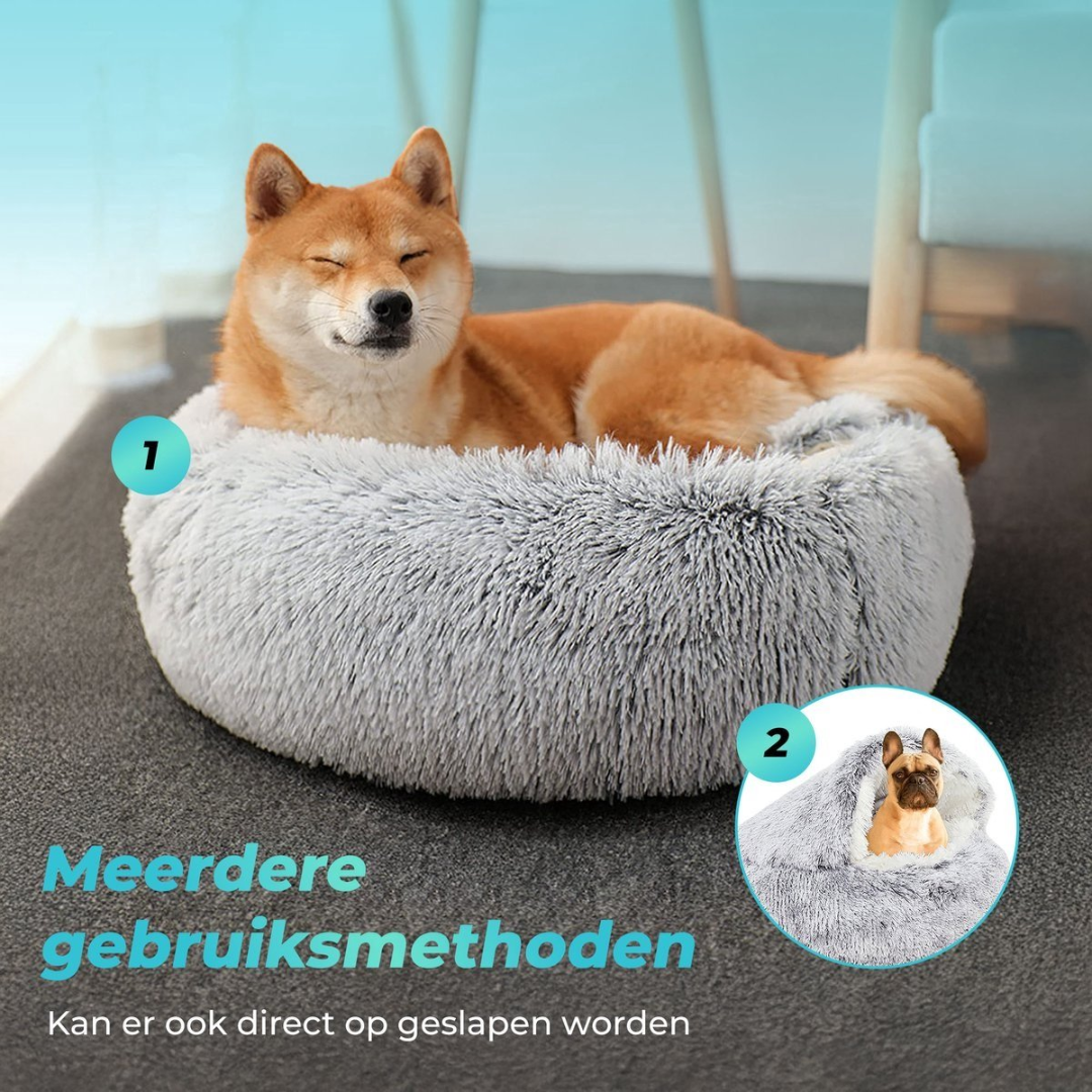 A Shiba Inu sleeps in a fluffy grey dog bed. A smaller circle with a French Bulldog is nearby.