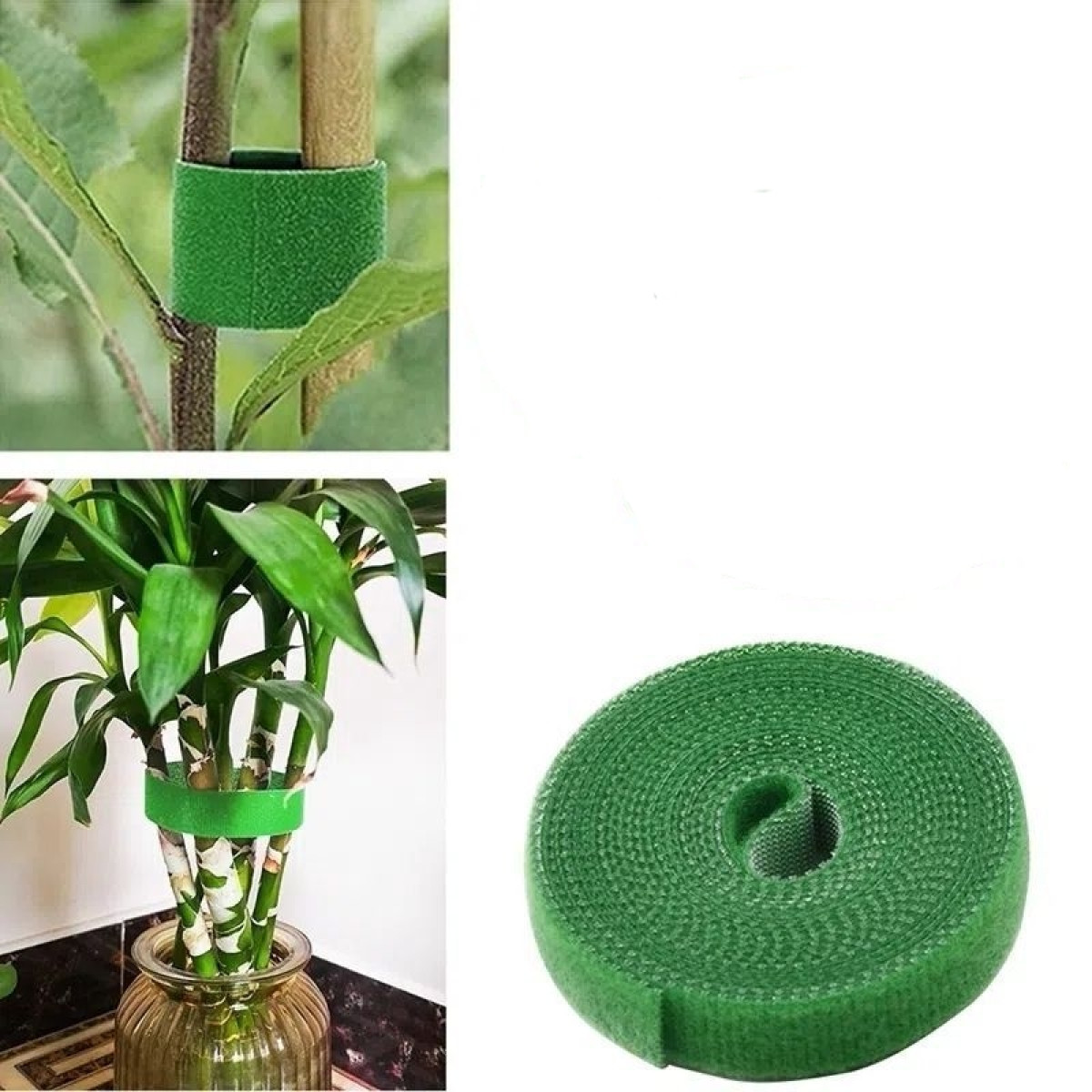 Cinghie in velcro verdi vengono mostrate mentre fissano piante all'aperto e al chiuso in un vaso.