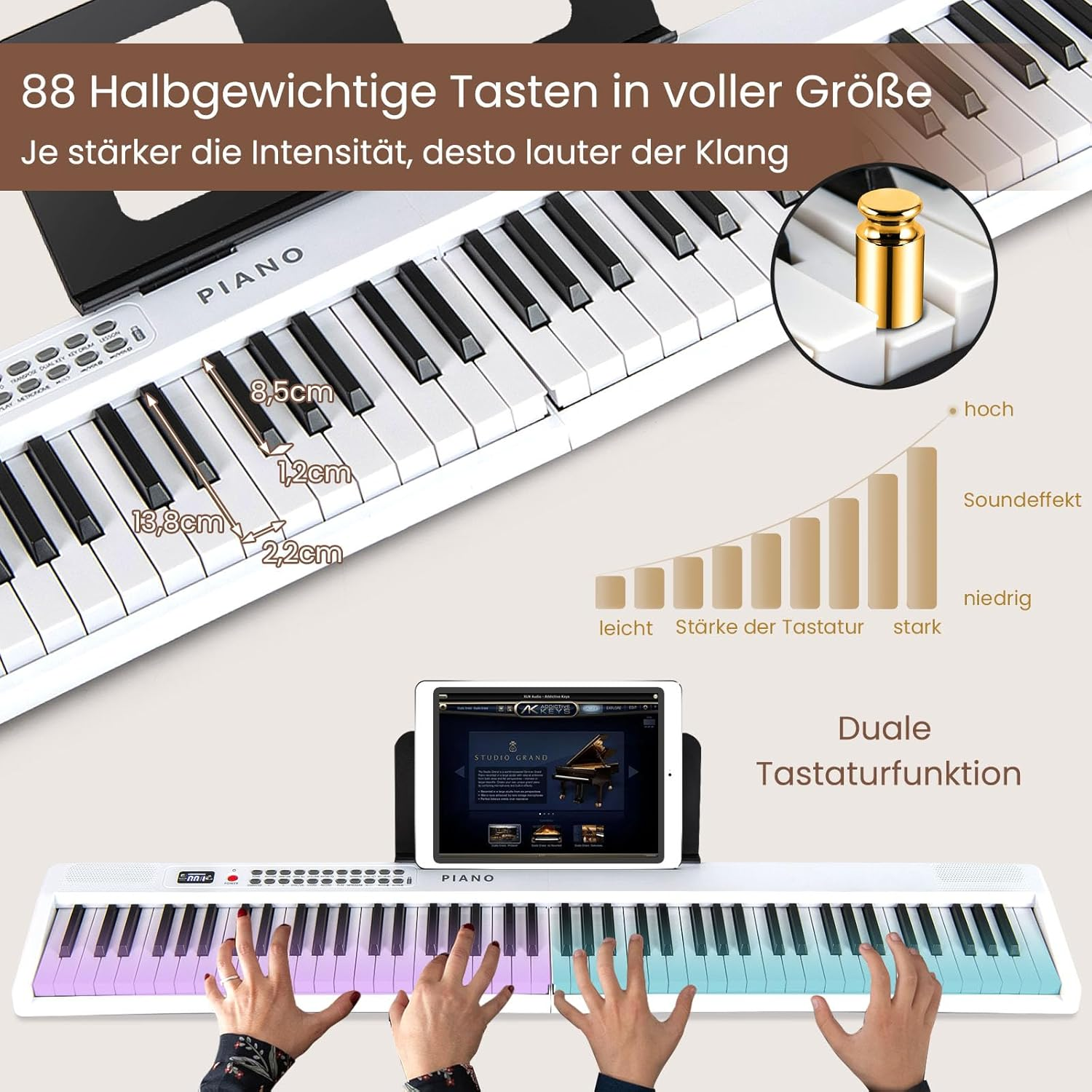 Ein Digitalpiano mit 88 Tasten, Maßen und einer Tastaturstärkenanzeige.