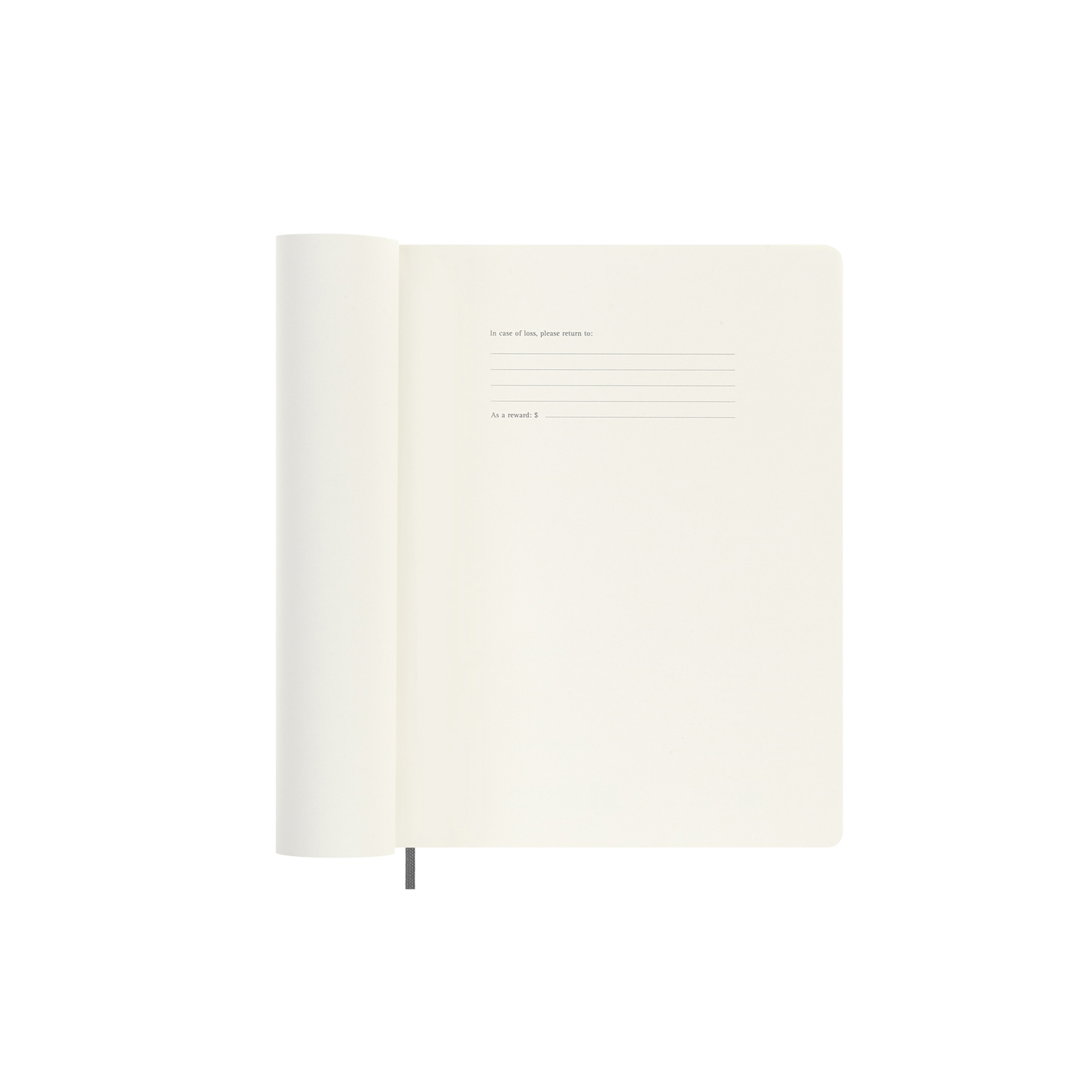 Un taccuino aperto con pagine avorio e campi a righe per il testo.