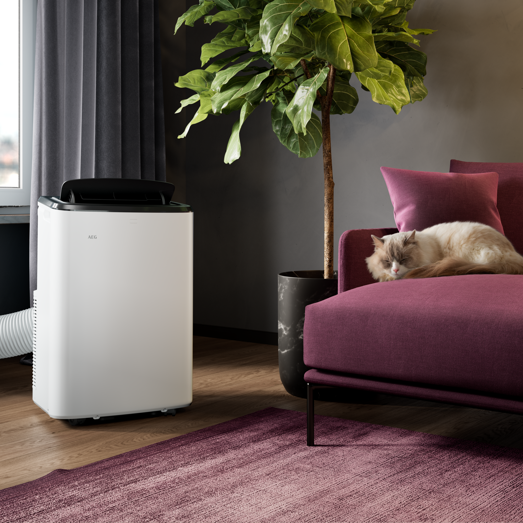 Ein weißer mobiler Klimaanlage steht neben einem lila Sofa, auf dem eine Katze schläft. Eine große Pflanze ist in der Nähe.